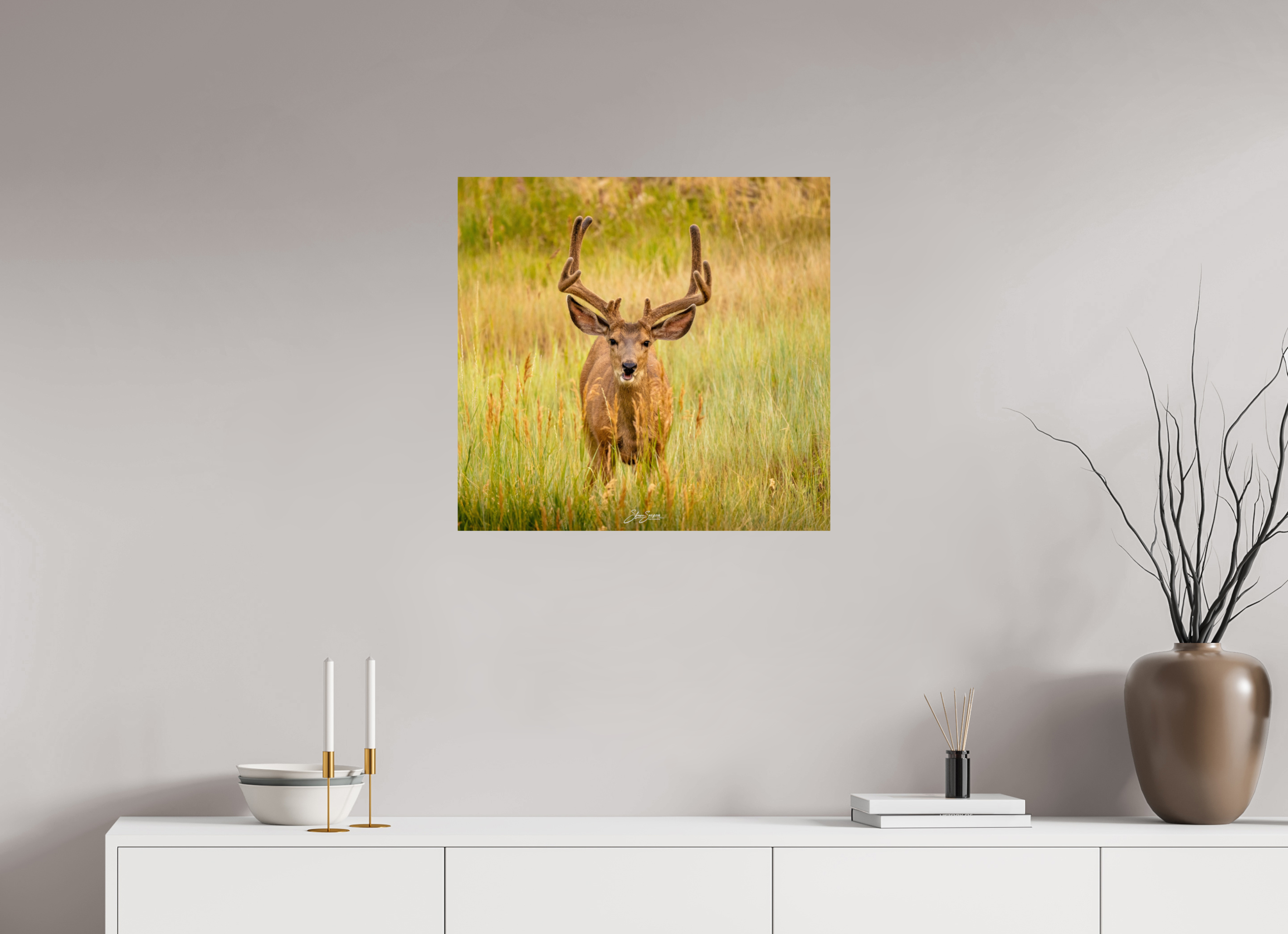 25.3 x 24″, Photo Print On Fuji Crystal DP II Deer