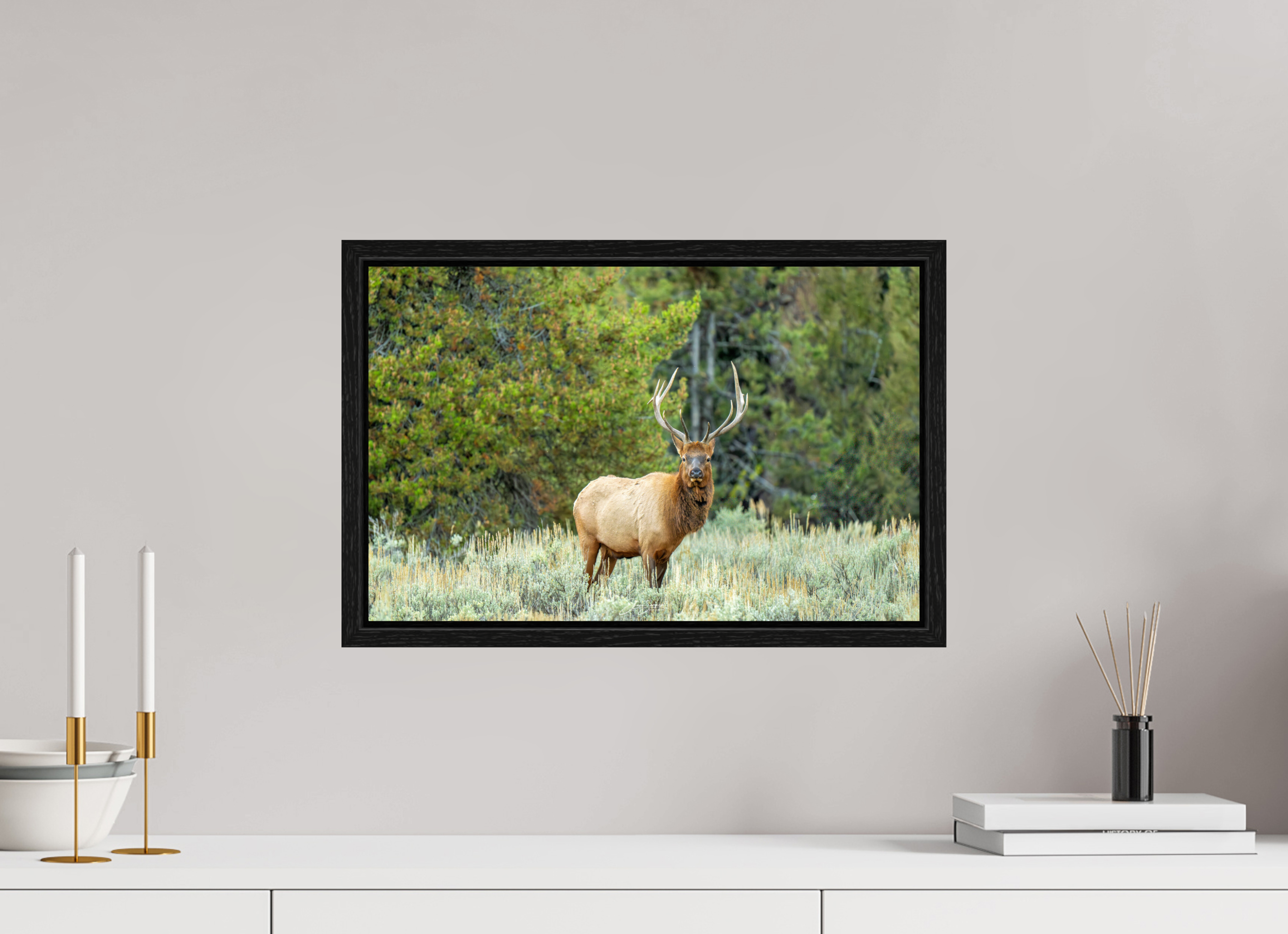 18.7 x 12″, Floater Frame Elk