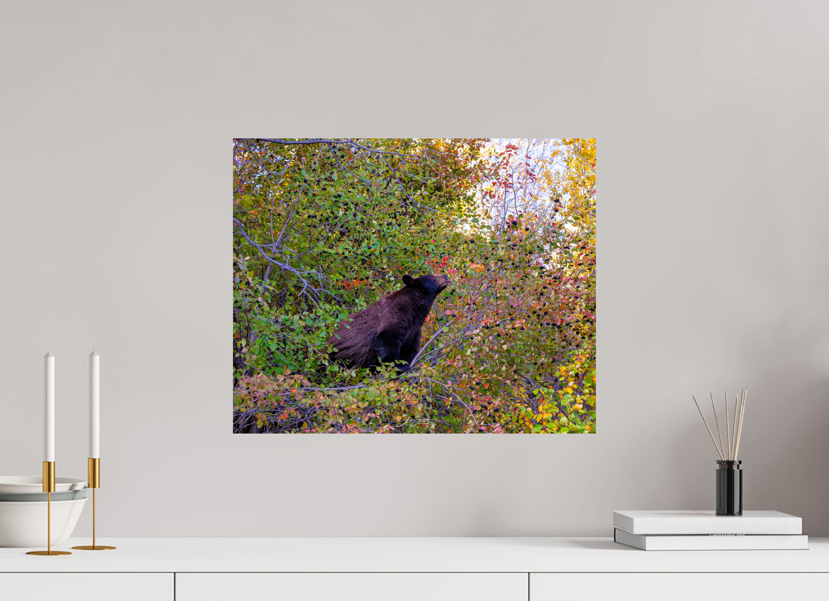 19.6 x 16″, Photo Print On Fuji Crystal DP II B1