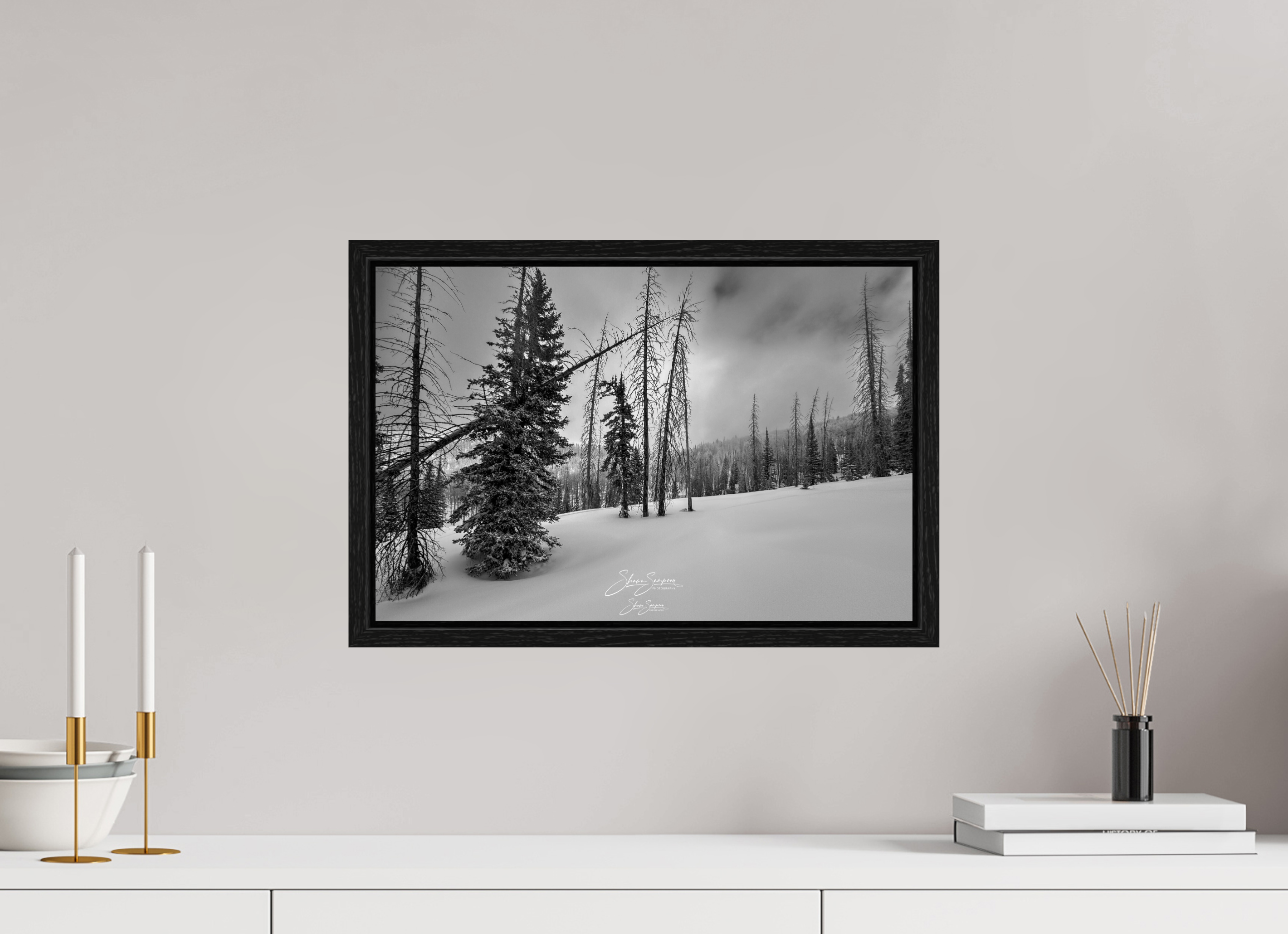 18.2 x 12″, Floater Frame winter bw