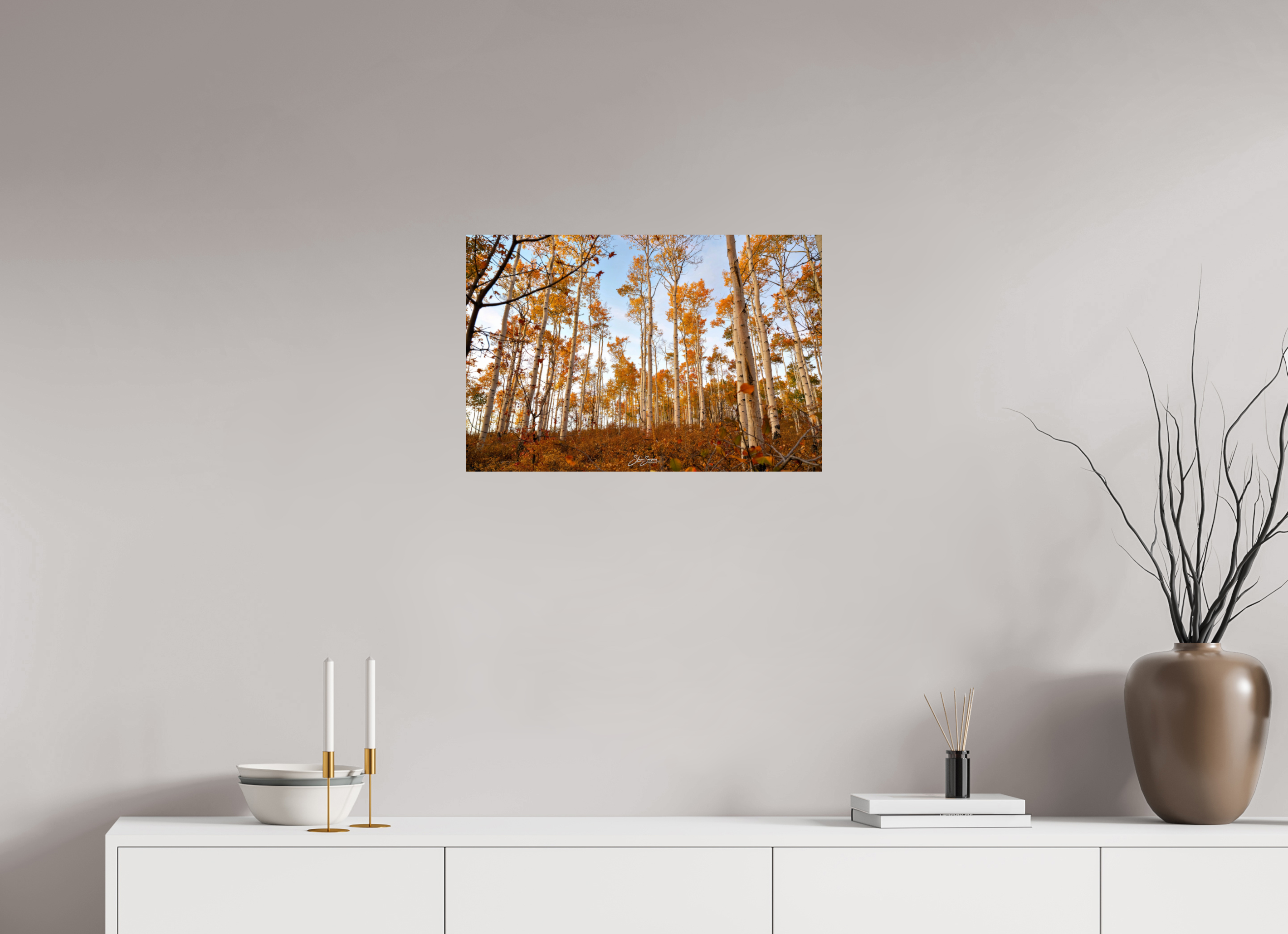 24 x 16″, Metal aspen