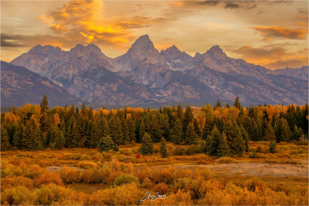 Main image A1 Teton Gold