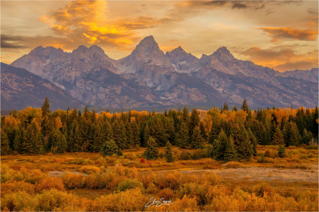 Main image A1 Teton Gold