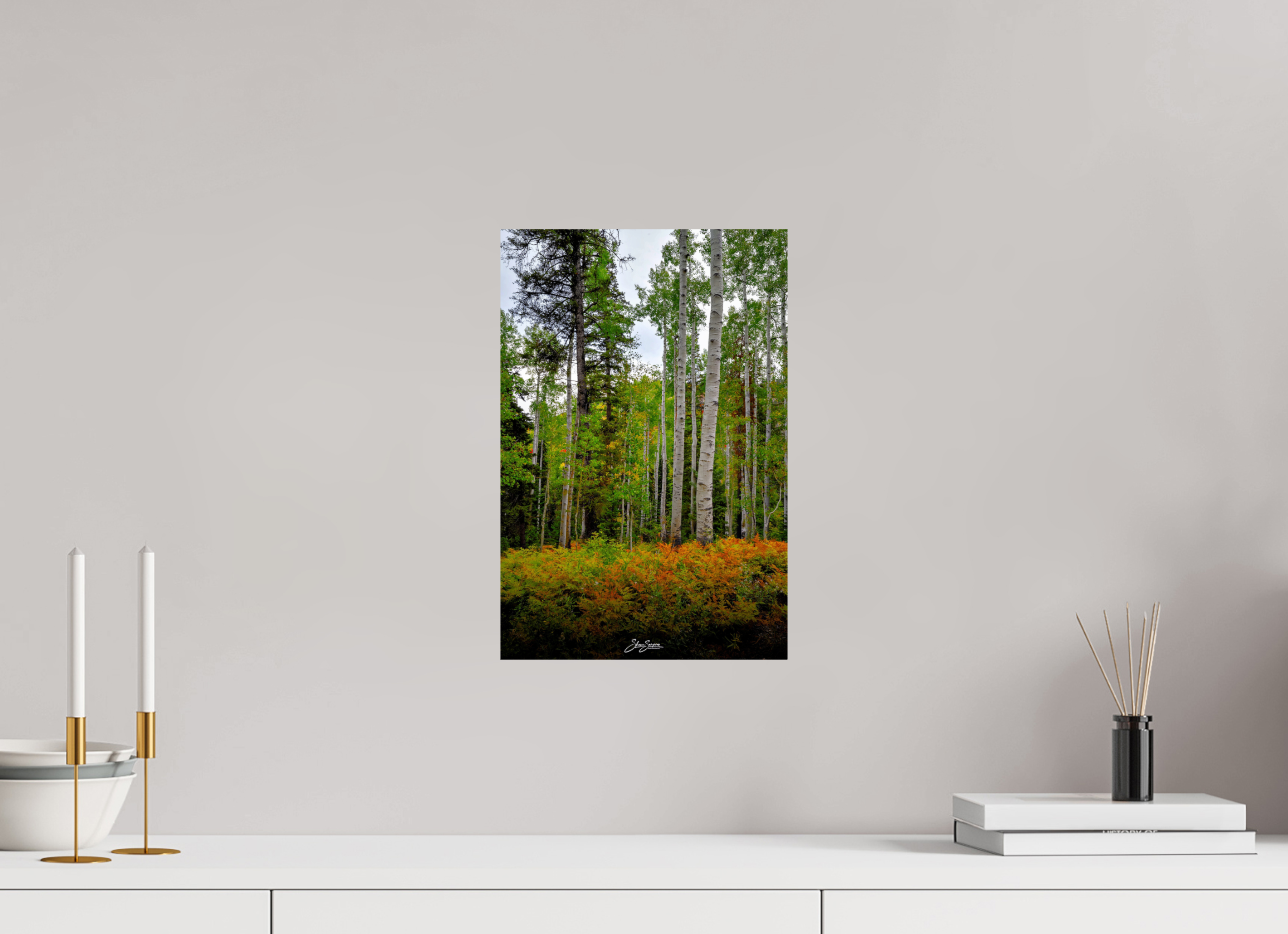 10 x 15″, Photo Print On Fuji Crystal DP II aspen