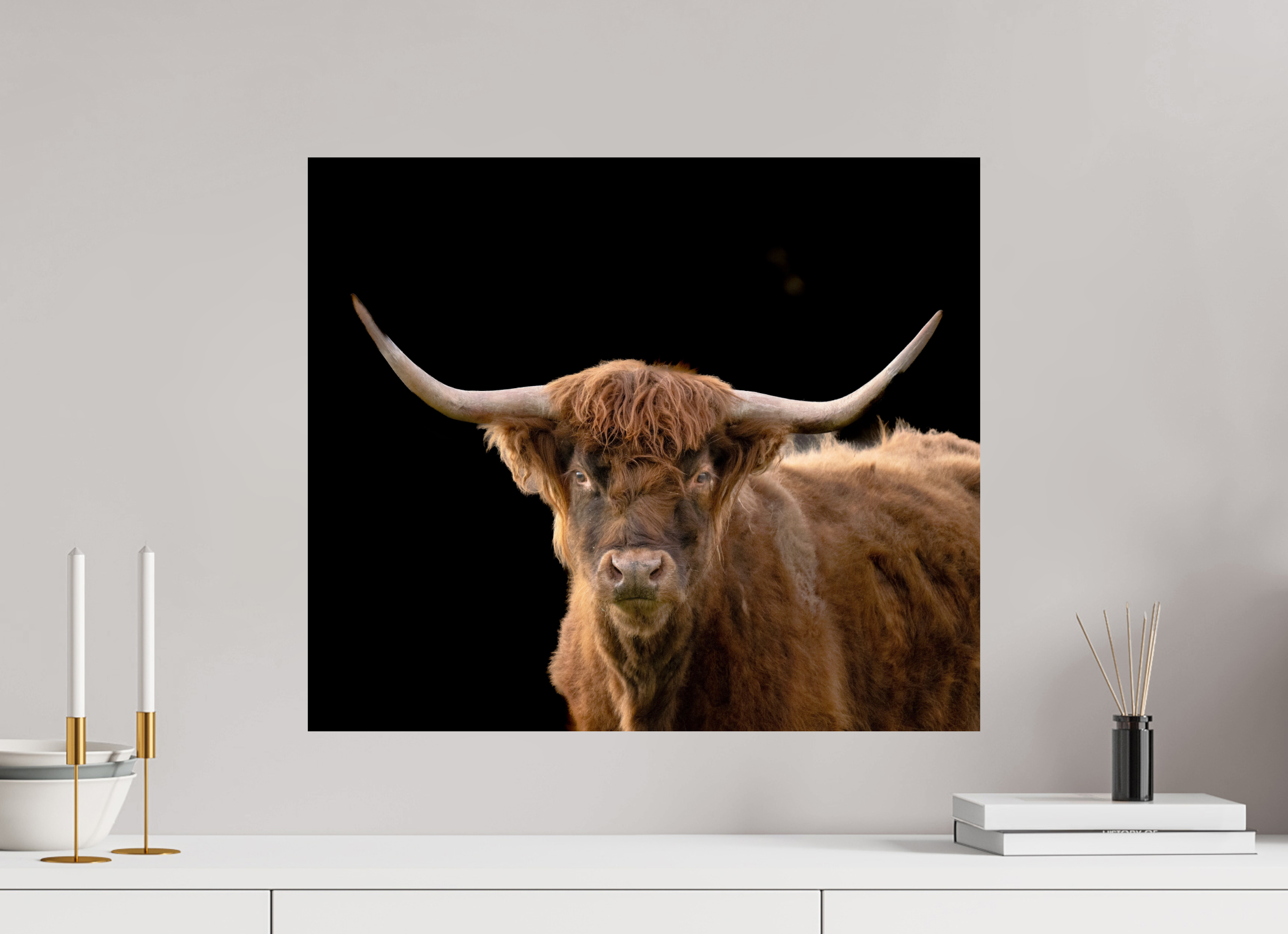 23.4 x 20″, Photo Print On Fuji Crystal DP II The Long Horn