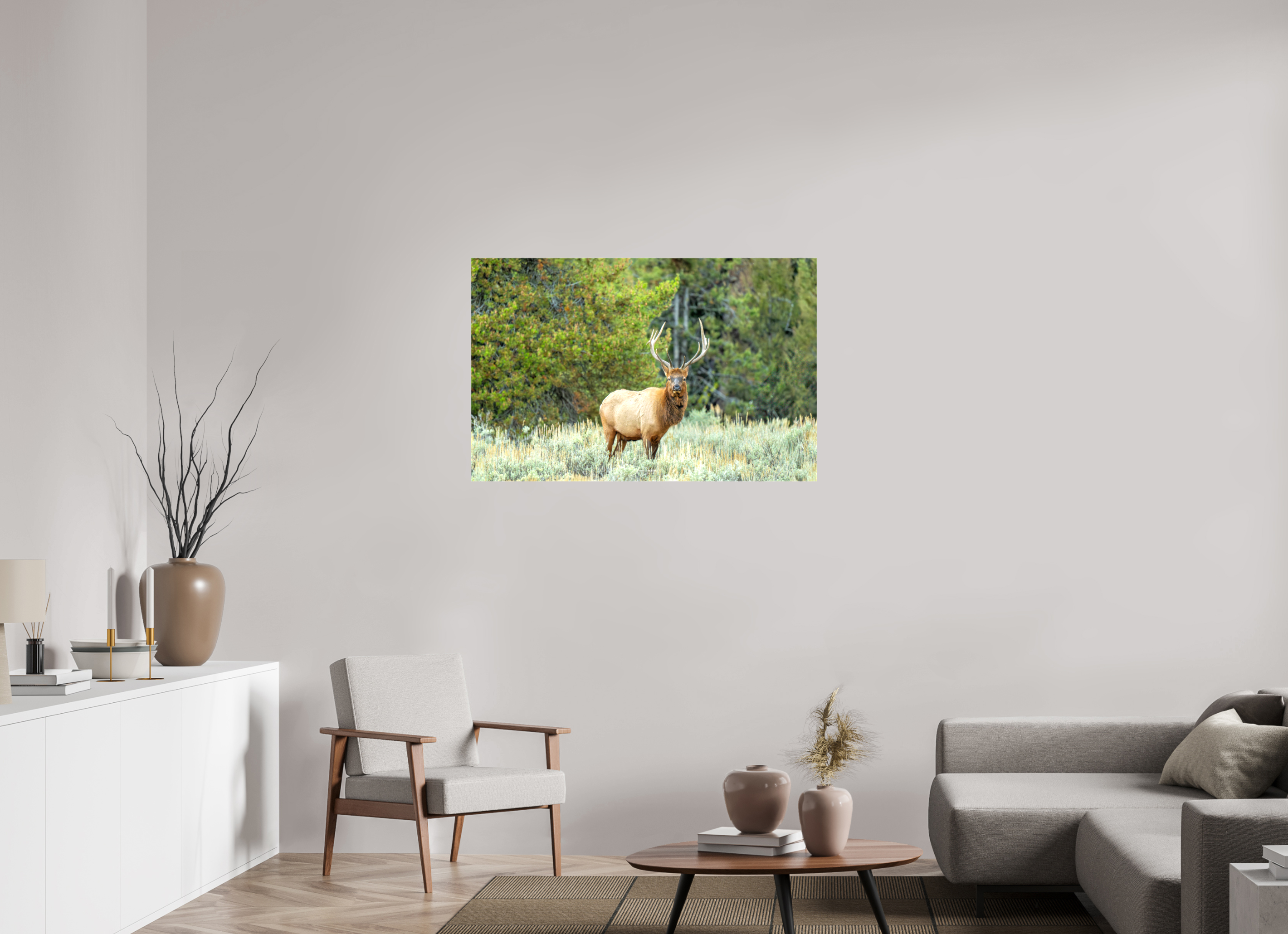 43.6 x 28″, Canvas Elk