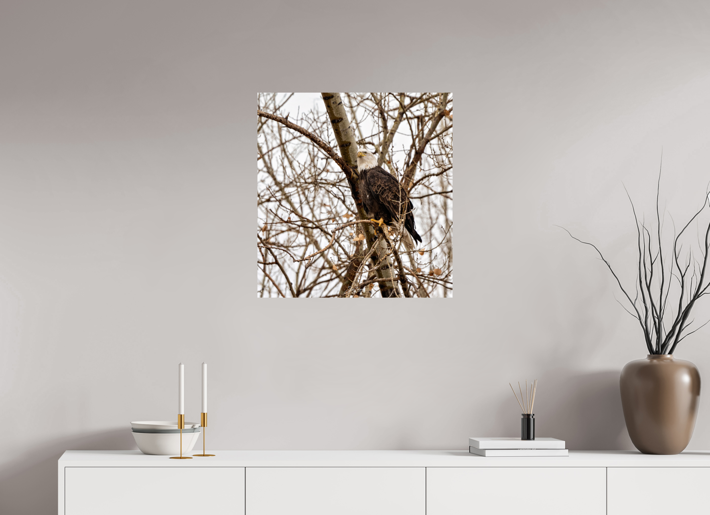 24 x 25.2″, Photo Print On Fuji Crystal DP II Eagle