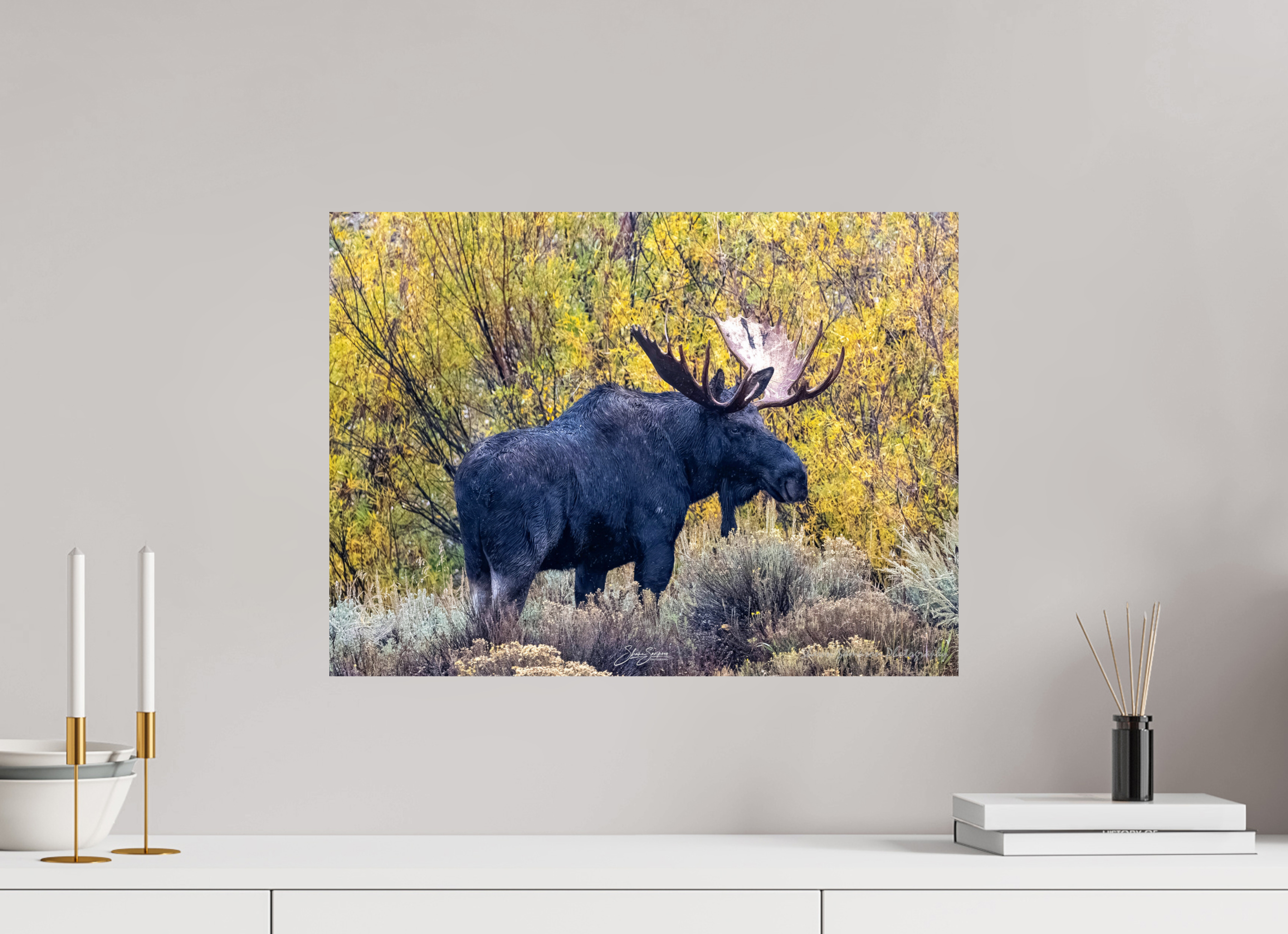 21.7 x 16″, Metal Moose