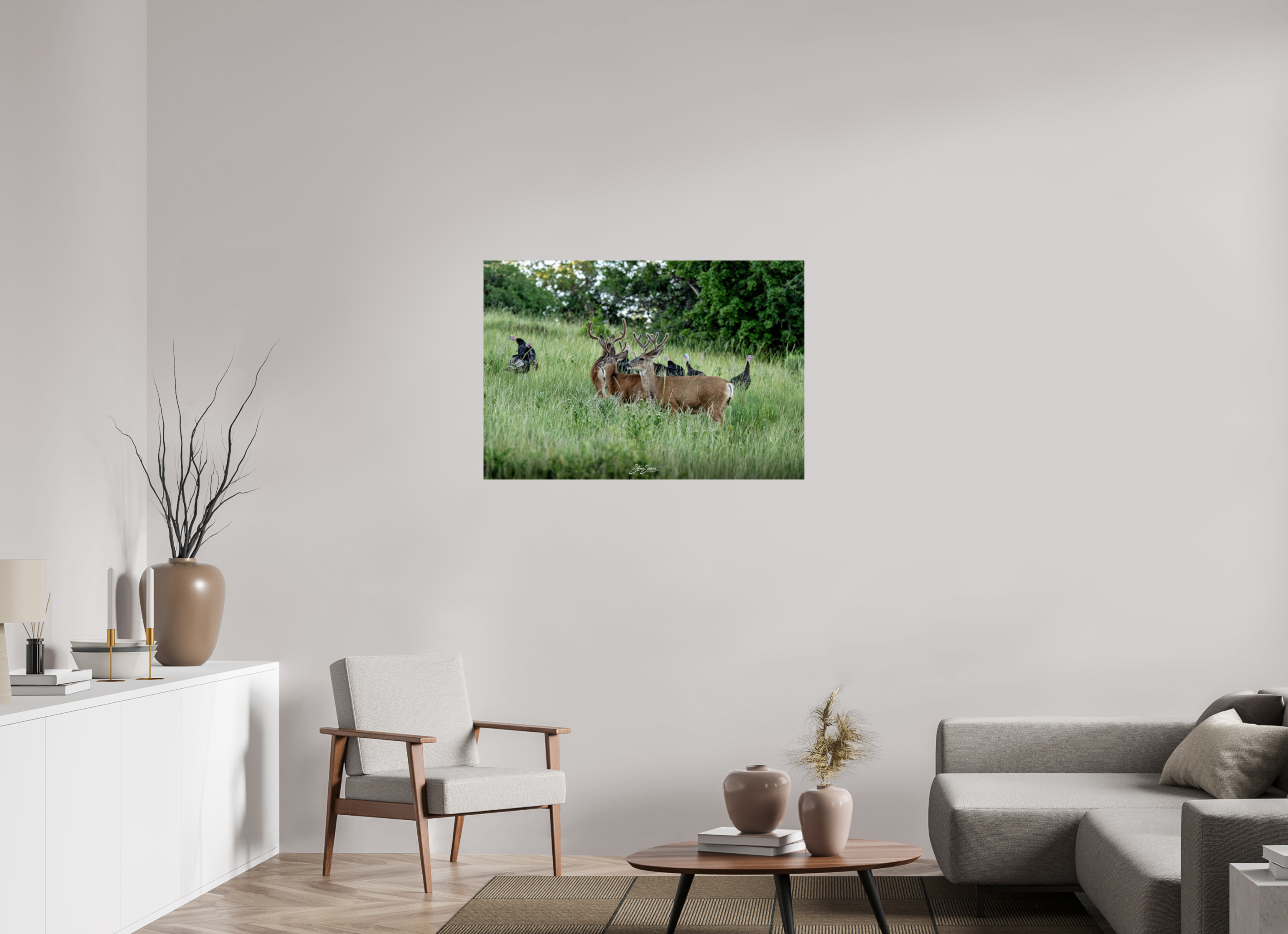 41 x 28″, Photo Print On Fuji Crystal DP II Turky Deer