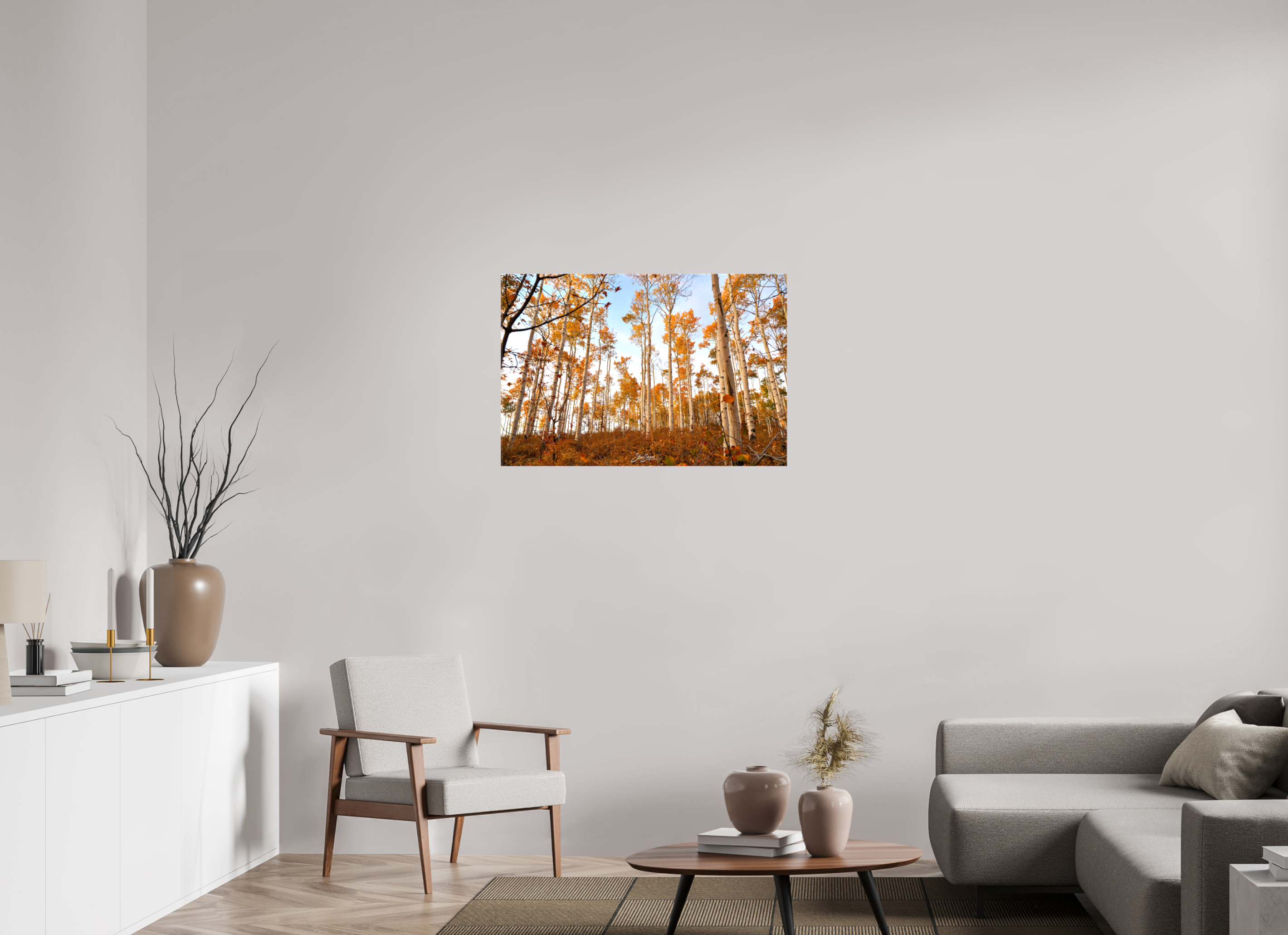 36 x 24″, Canvas aspen