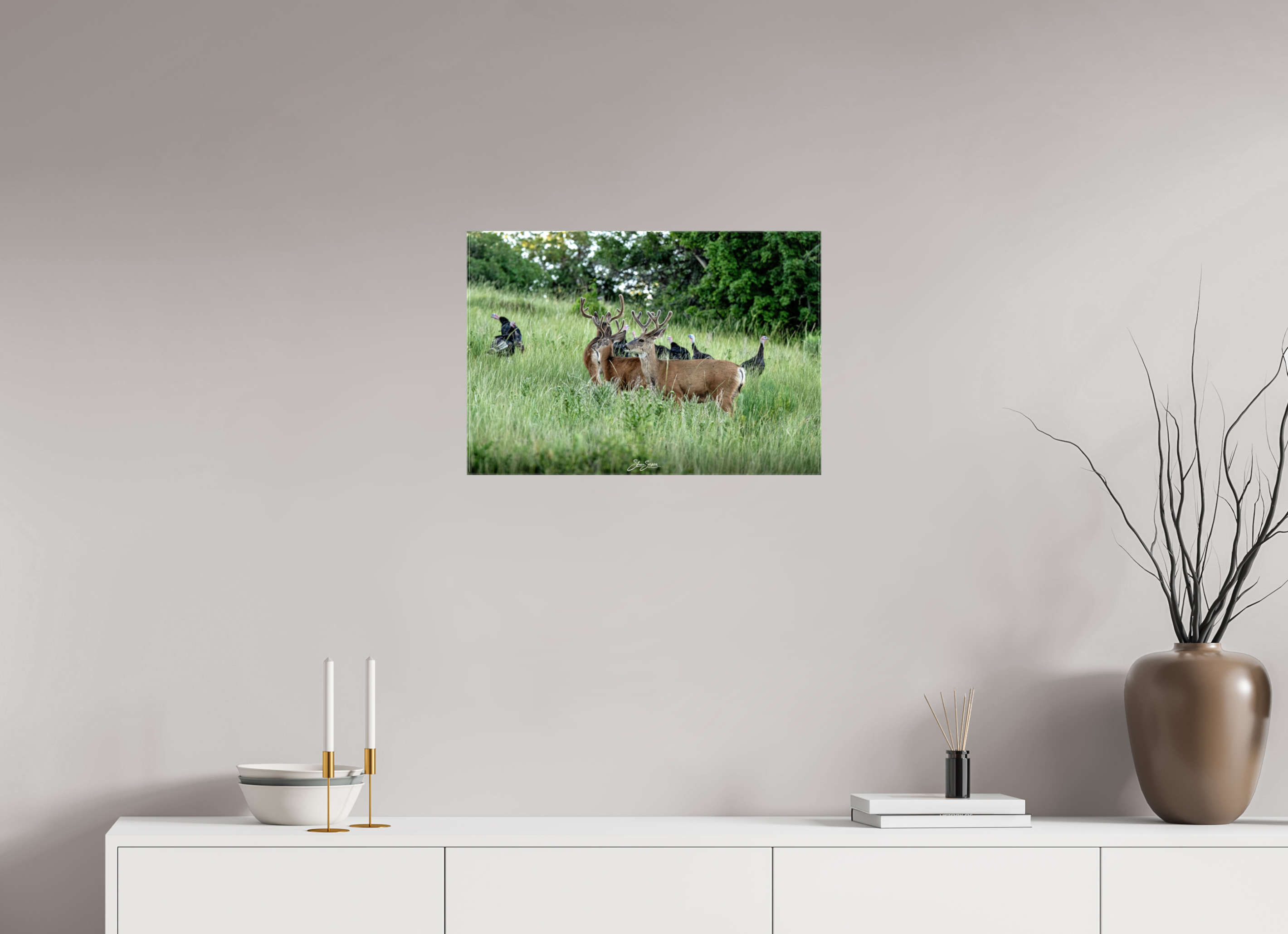 23.4 x 16″, Canvas Turky Deer