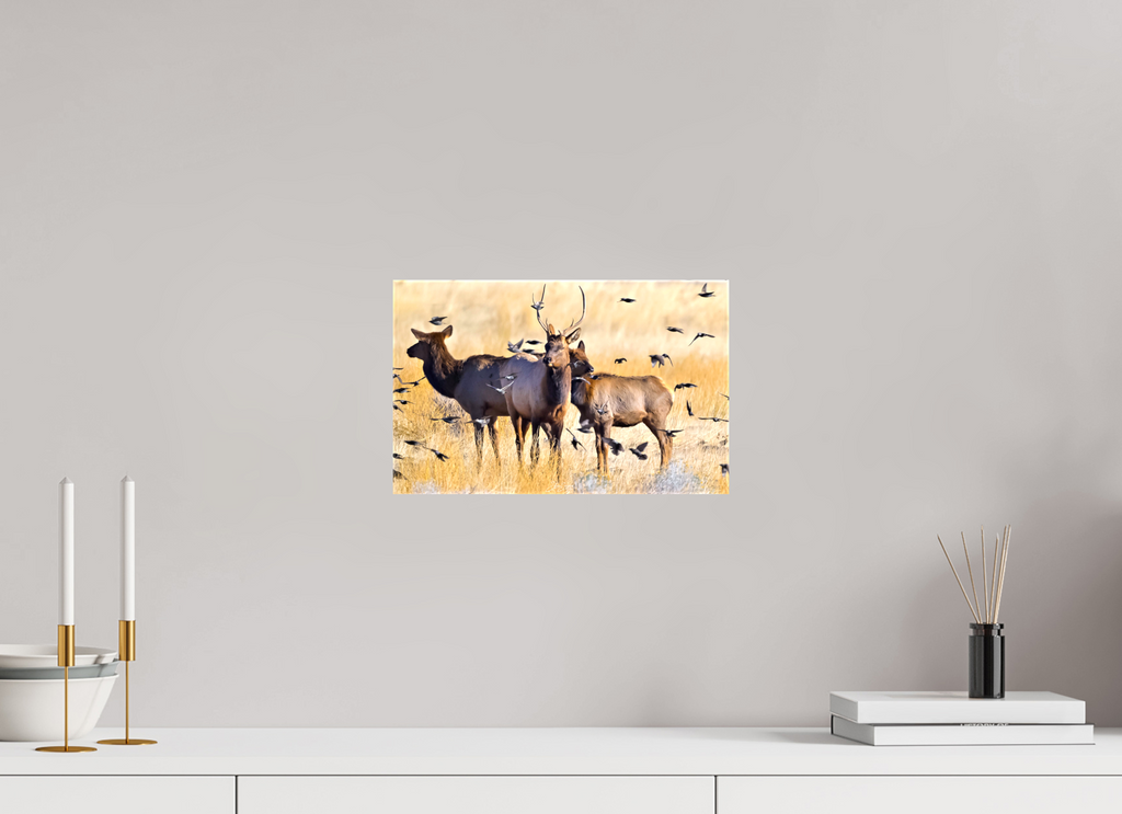 12.8 x 8″, Canvas Elk Birds