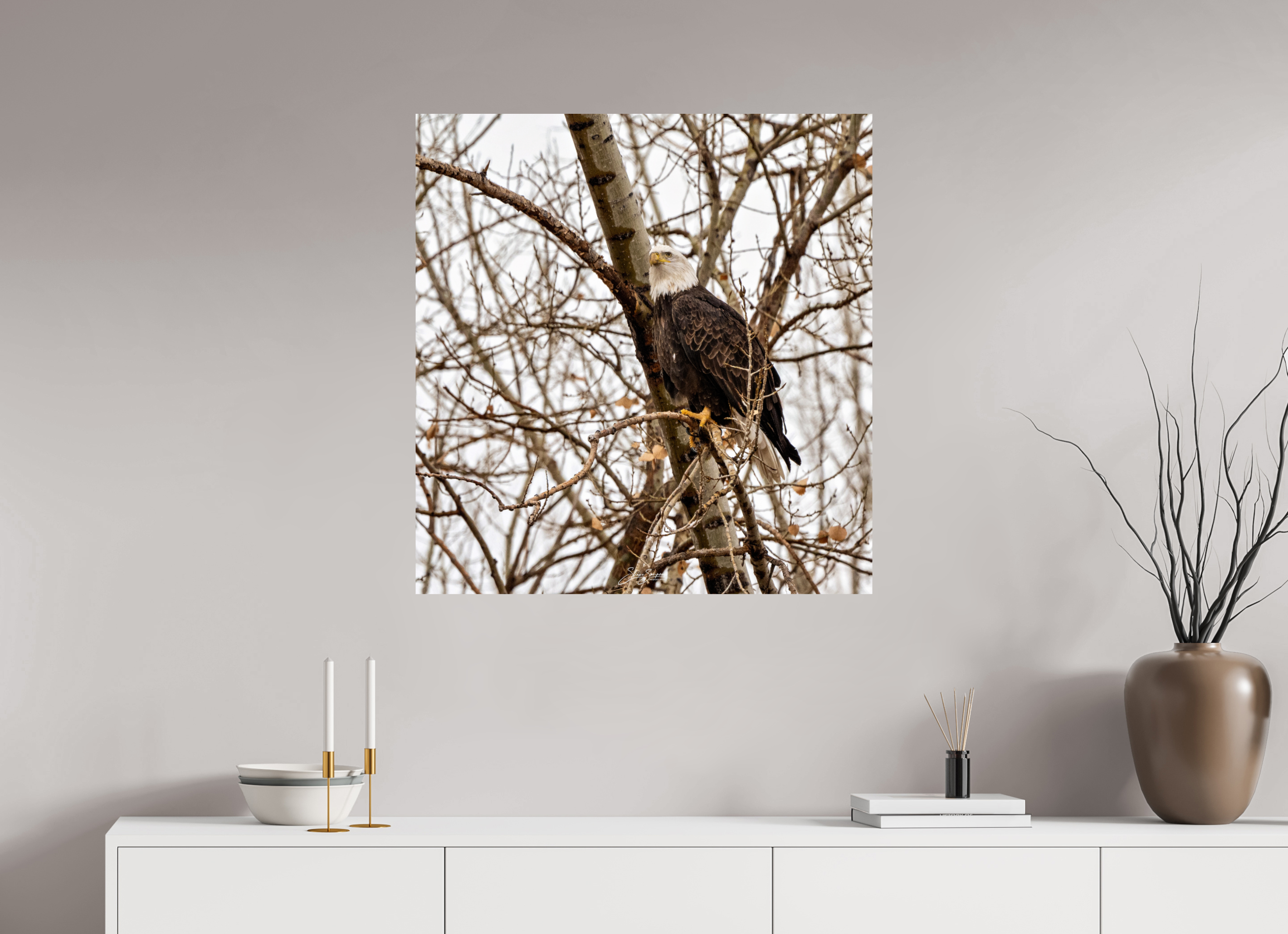 31 x 32.6″, Photo Print On Fuji Crystal DP II Eagle