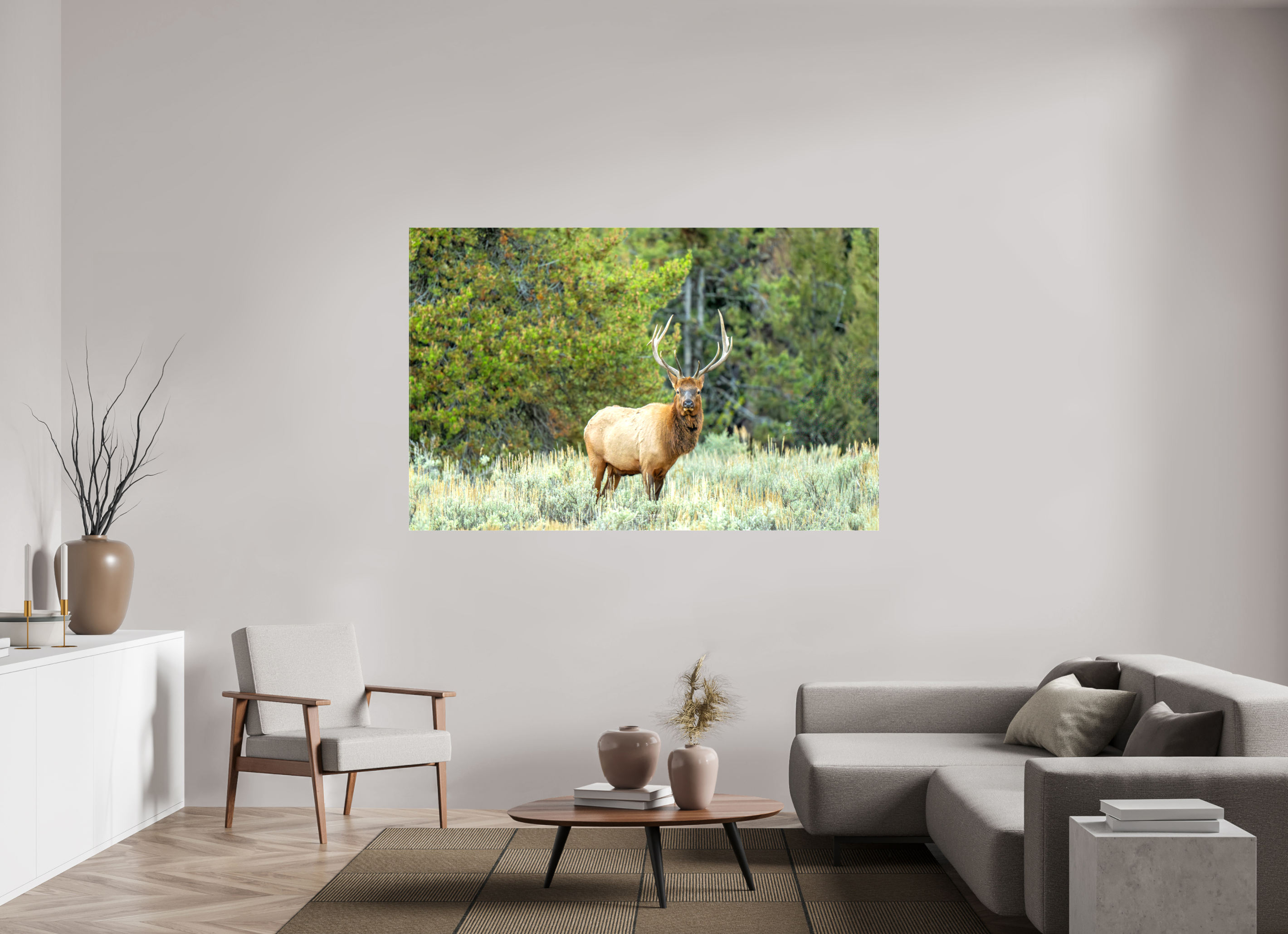 73.1 x 47″, Canvas Elk
