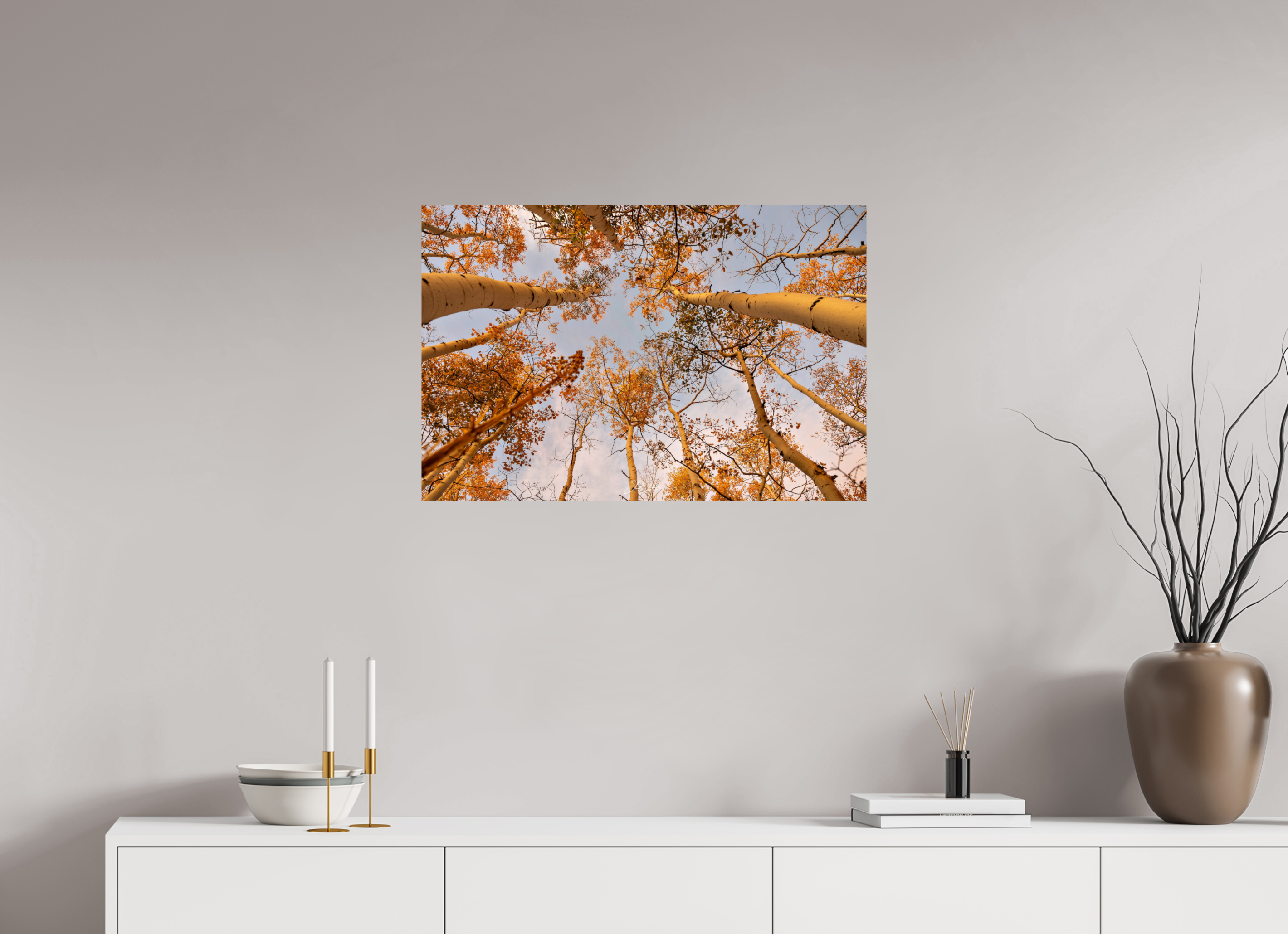 30 x 20″, Metal aspen