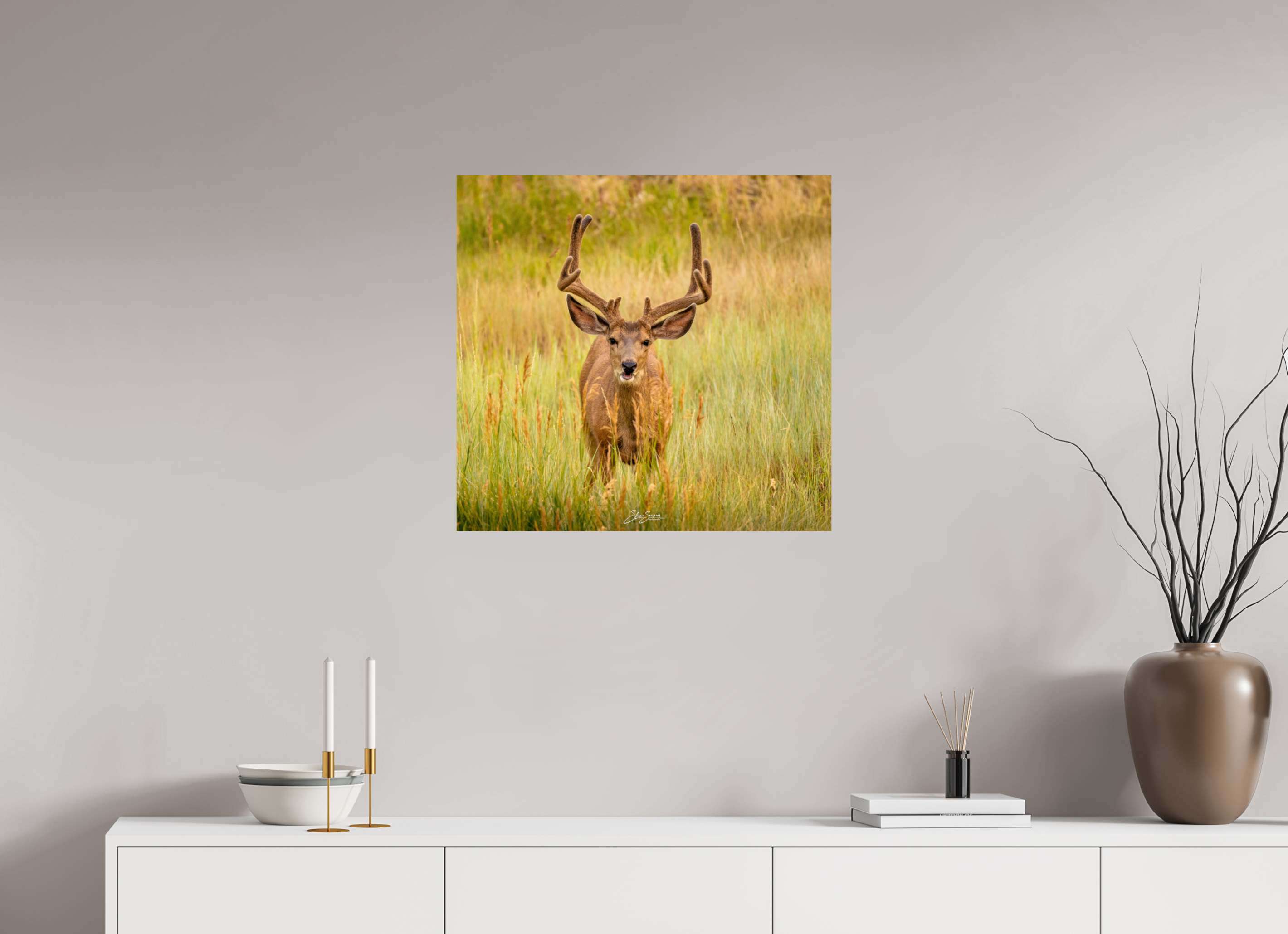 25.3 x 24″, Metal Deer