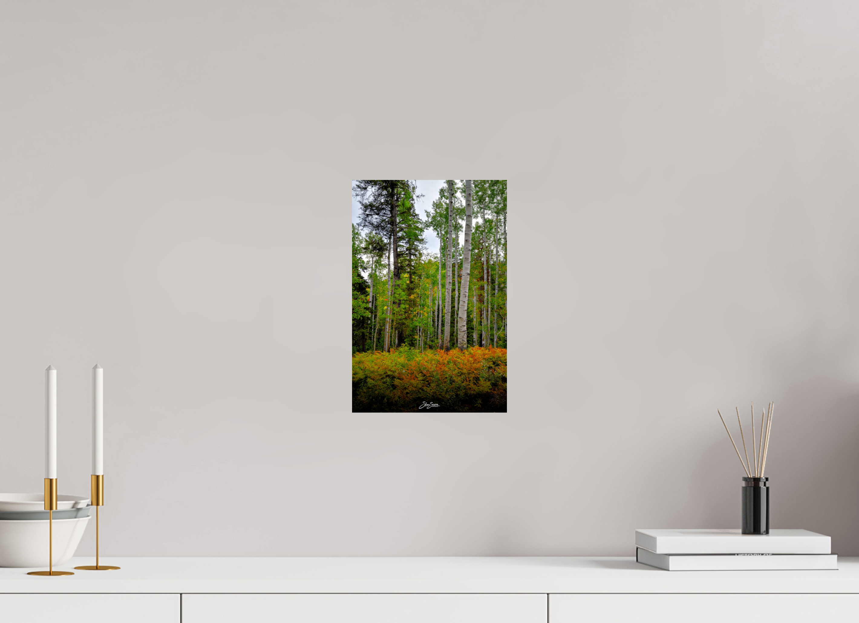 8 x 12″, Metal aspen