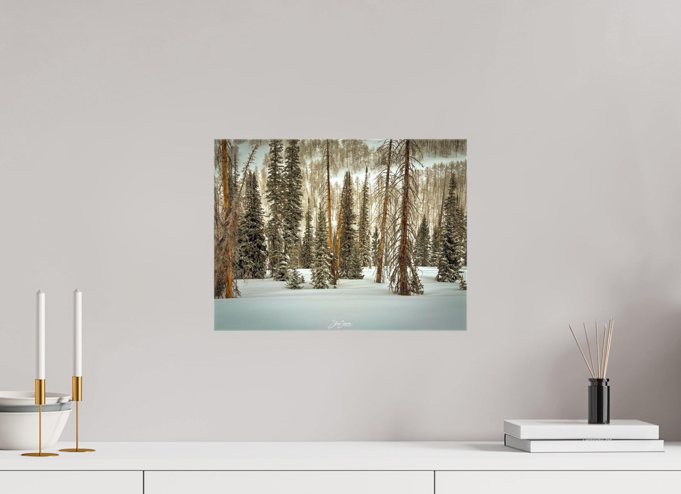 16 x 12″, Canvas Winter in the pine