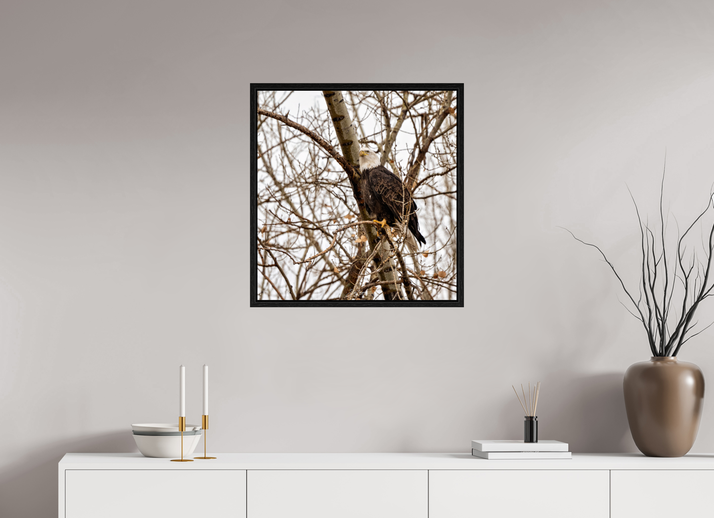 24 x 25.2″, Floater Frame Eagle