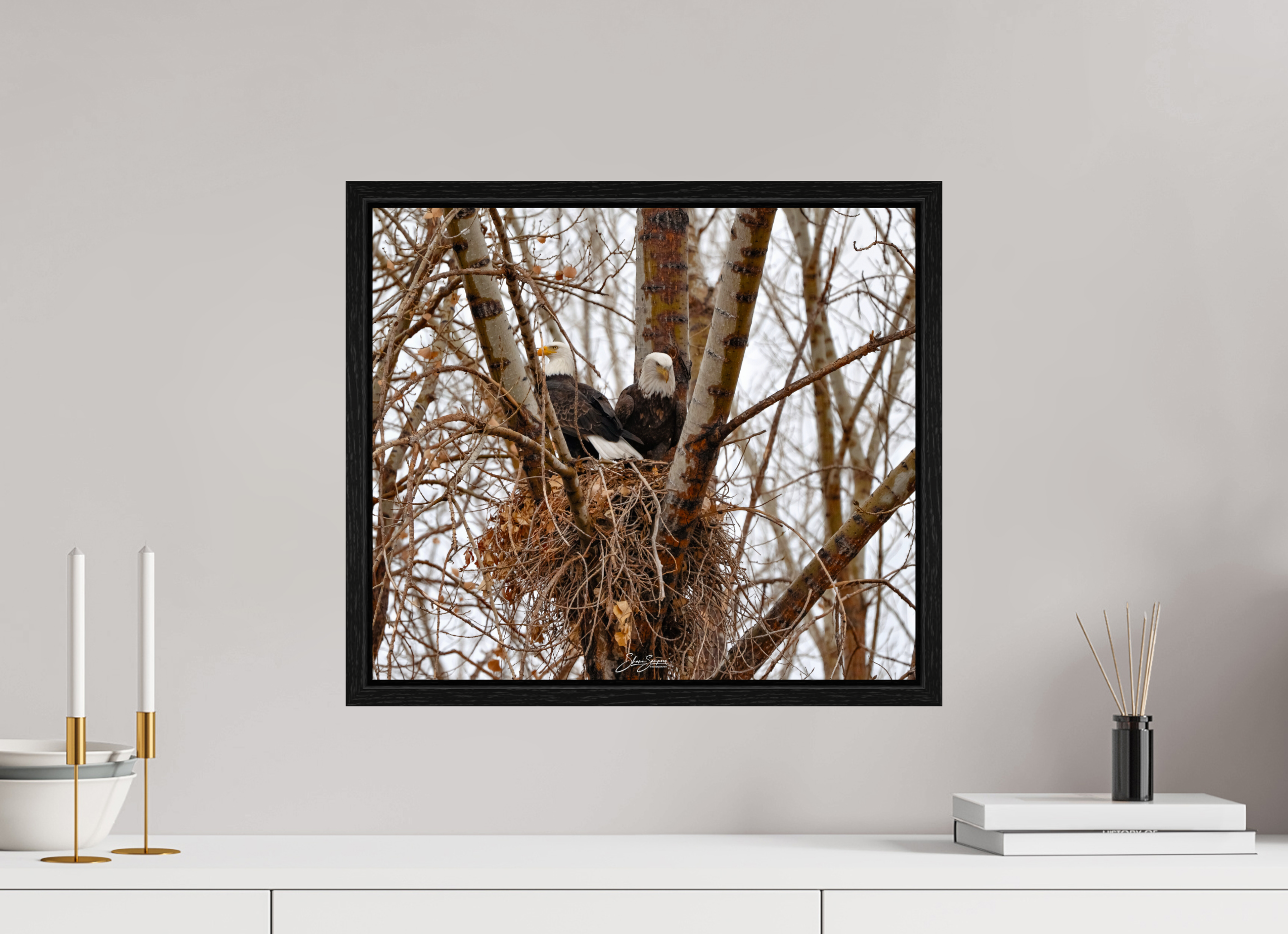 18.4 x 16″, Floater Frame Eagles in the nest