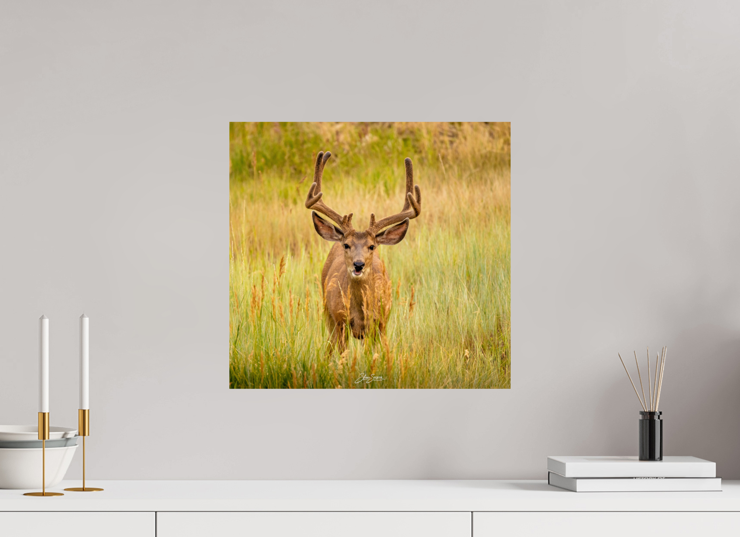 16.9 x 16″, Metal Deer