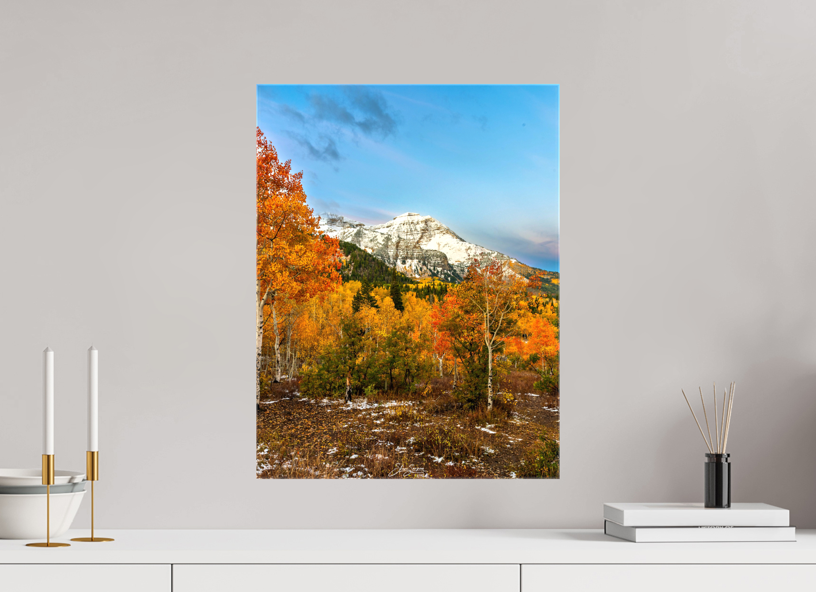 16 x 20.9″, Canvas Timp Fall