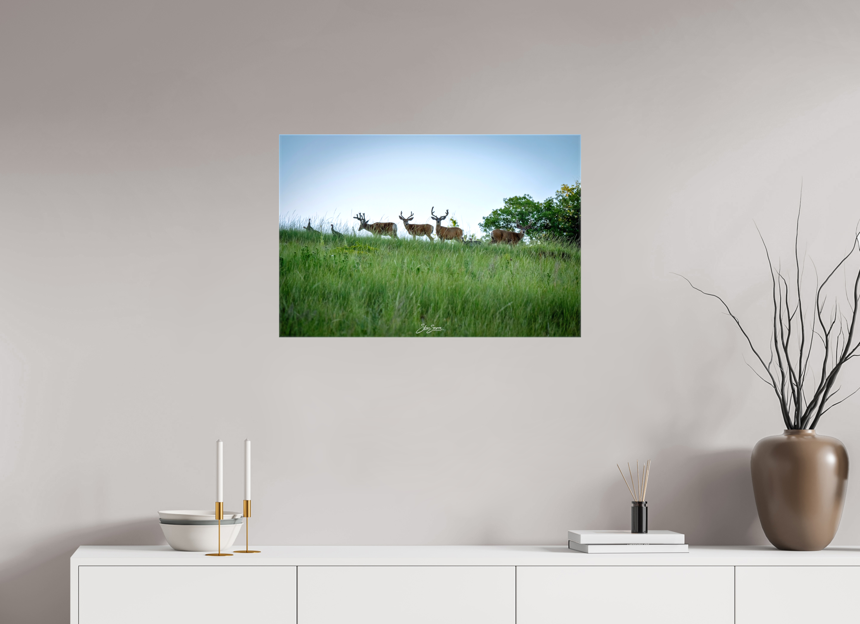 30 x 20″, Canvas Deer
