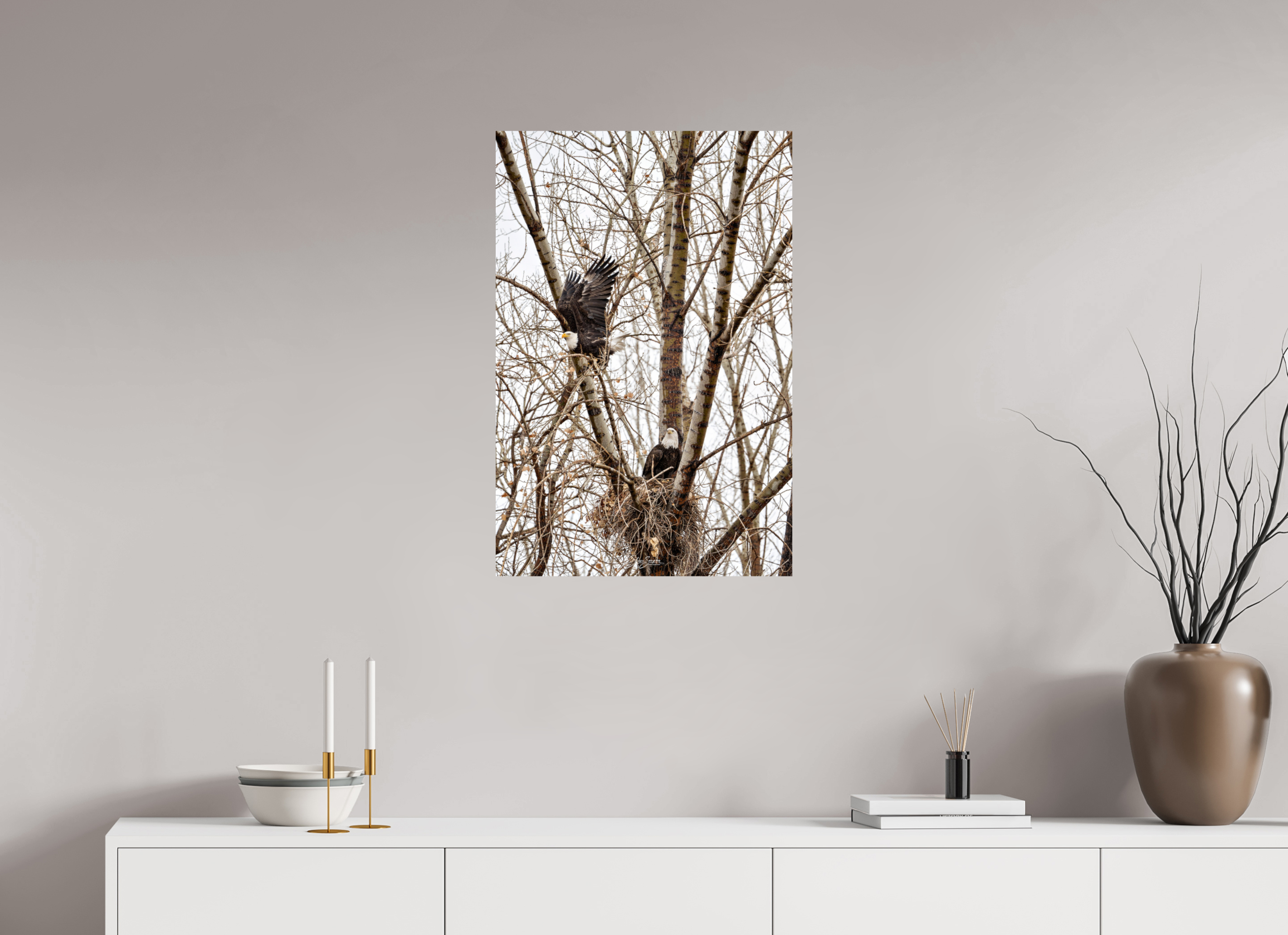 20 x 30″, Metal Eagles