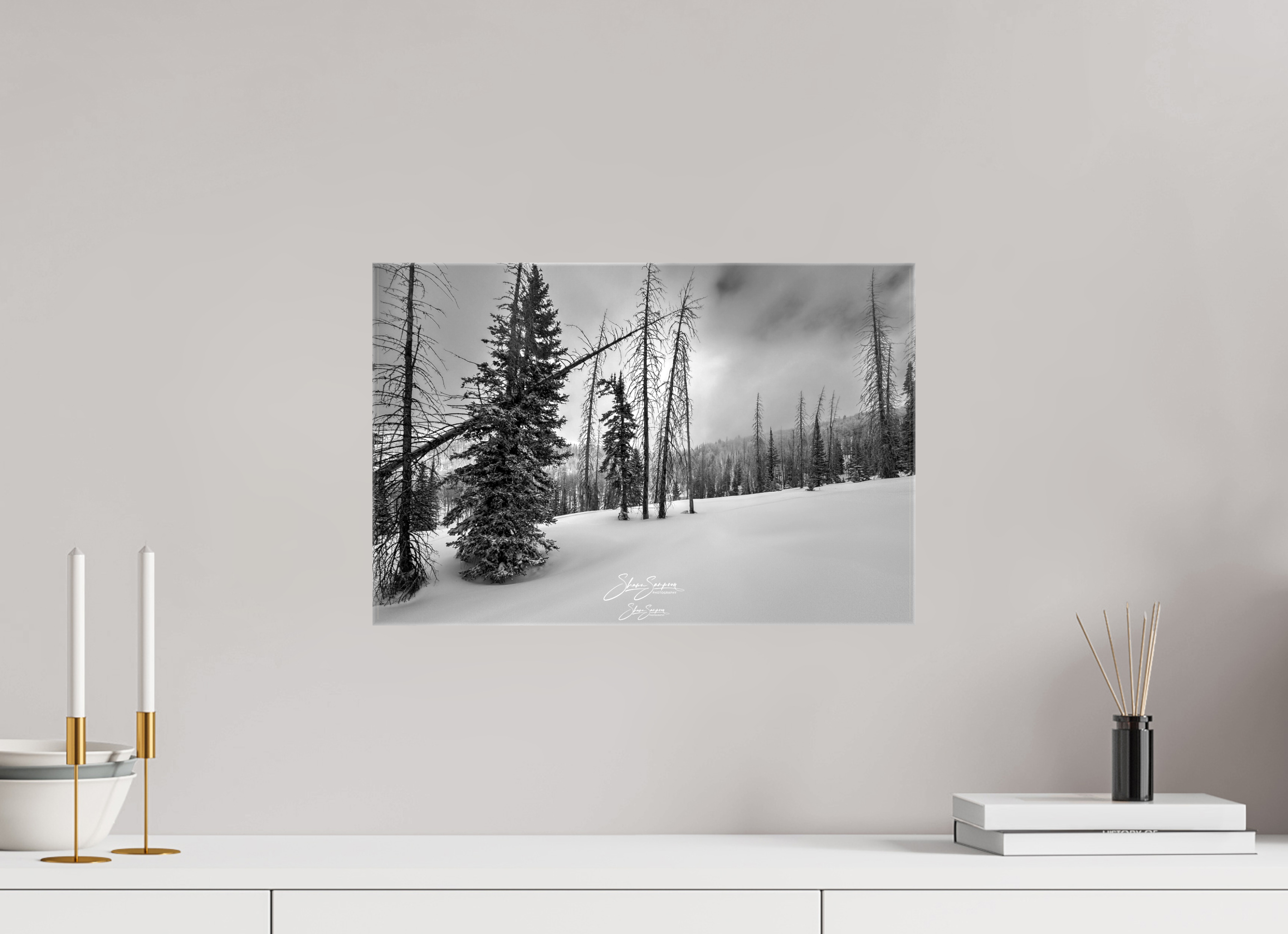 18.2 x 12″, Canvas winter bw