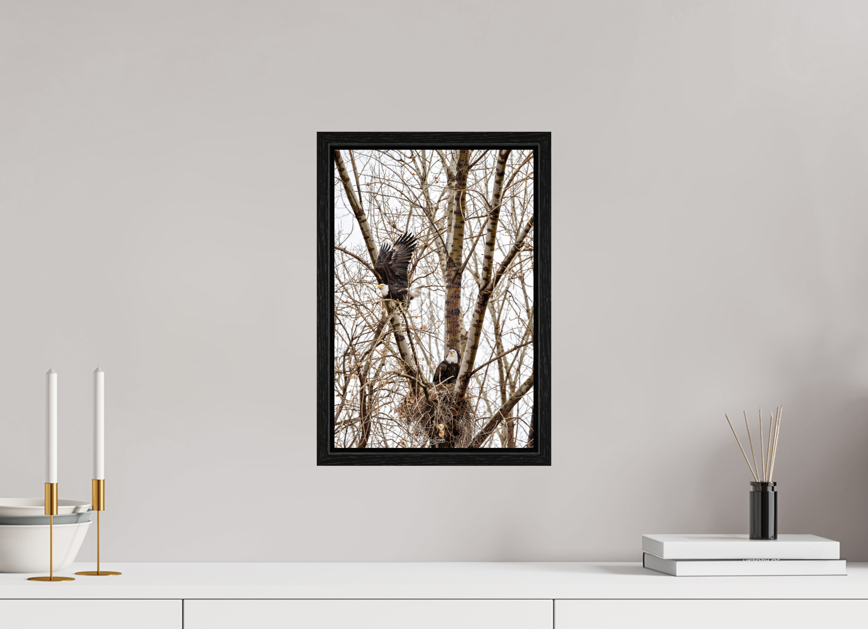 10 x 15″, Floater Frame Eagles