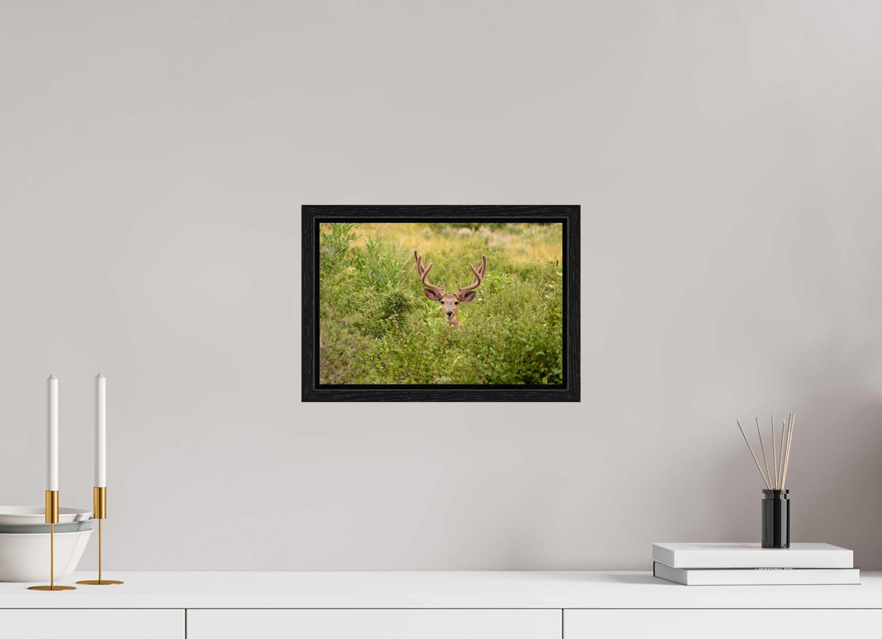 12 x 8″, Floater Frame Deer