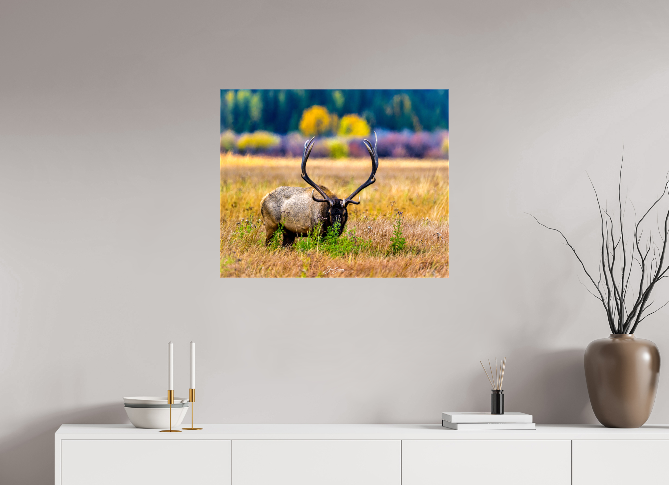 29.2 x 24″, Canvas Elk