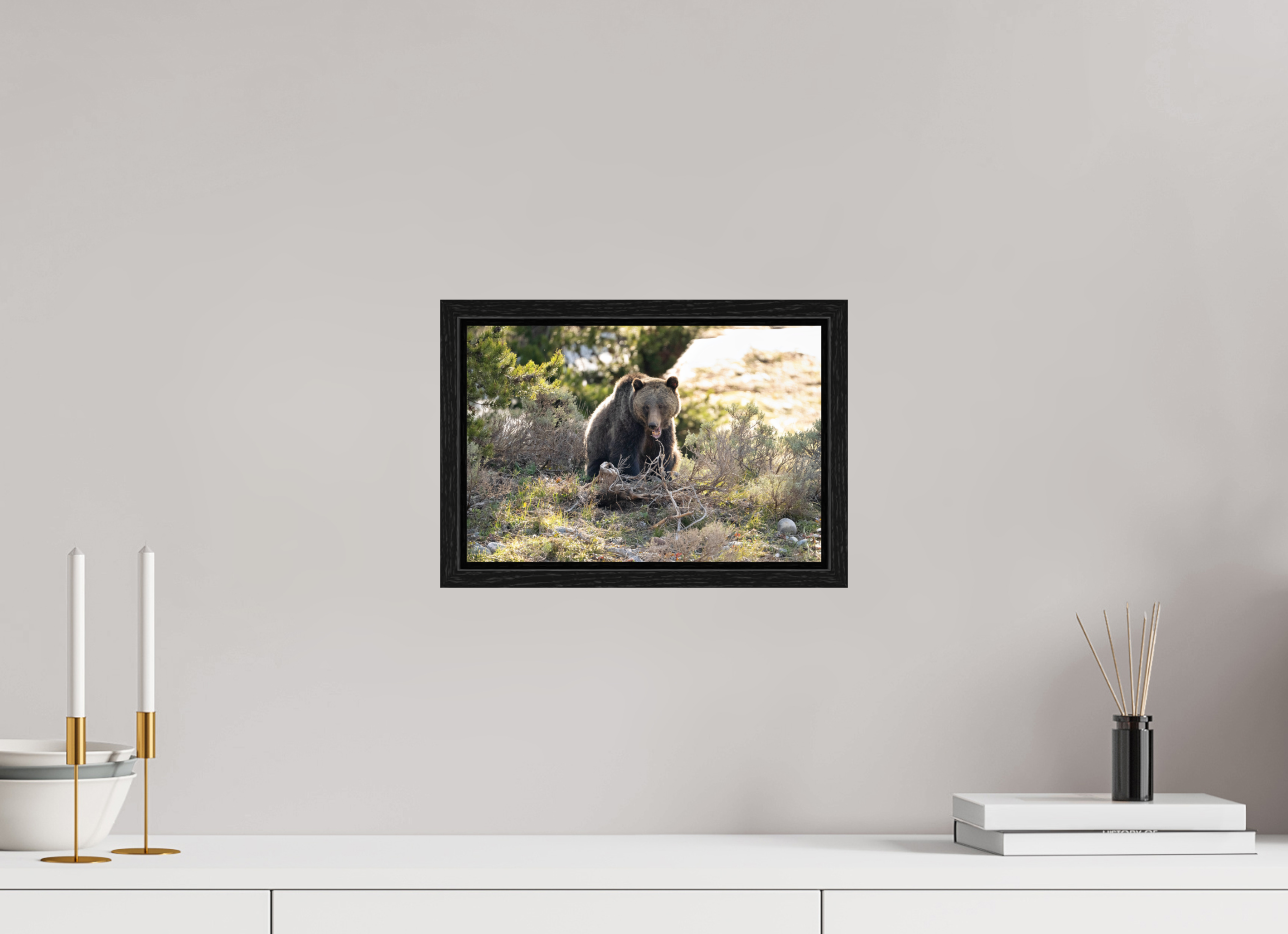 12 x 8″, Floater Frame 1063