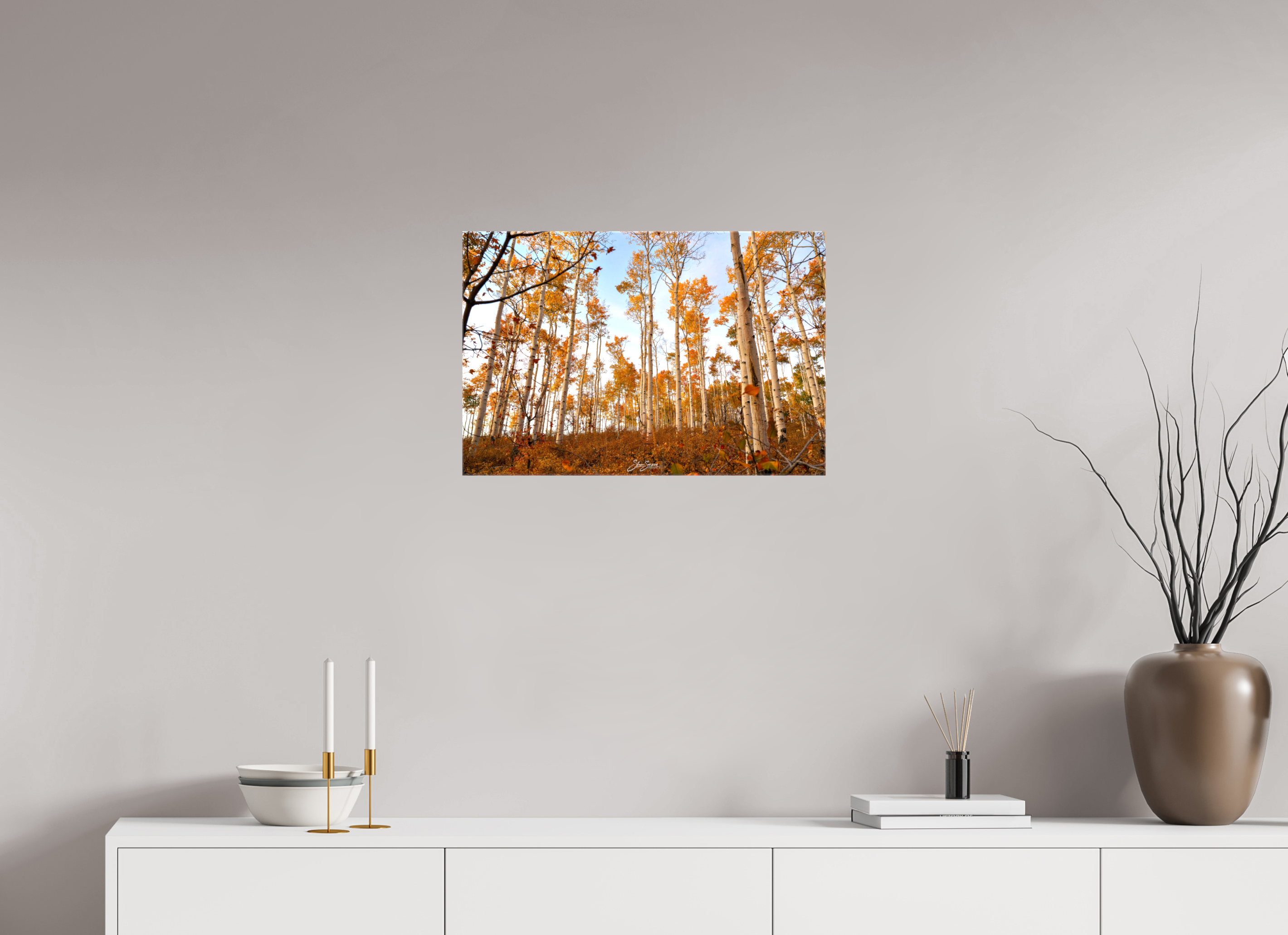 24 x 16″, Canvas aspen