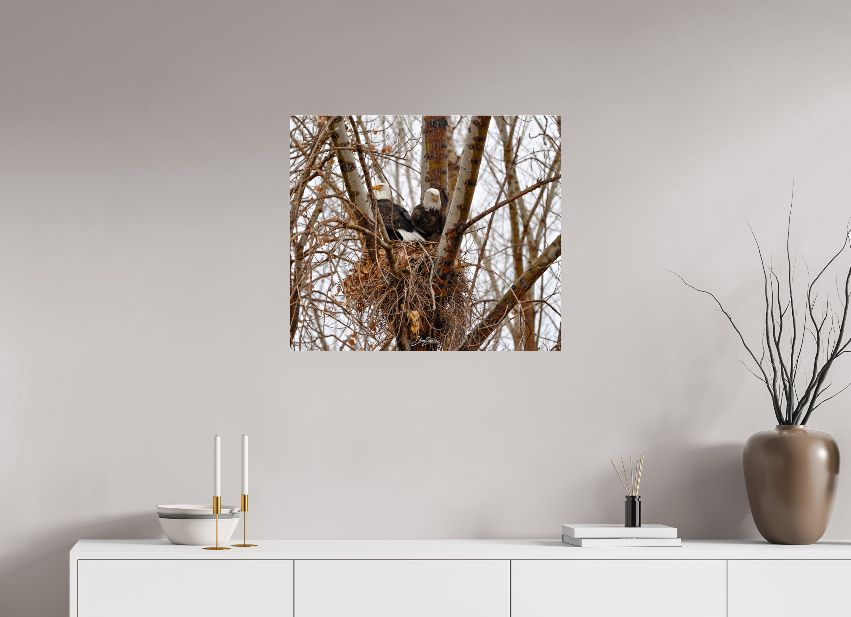 27.6 x 24″, paper Eagles in the nest