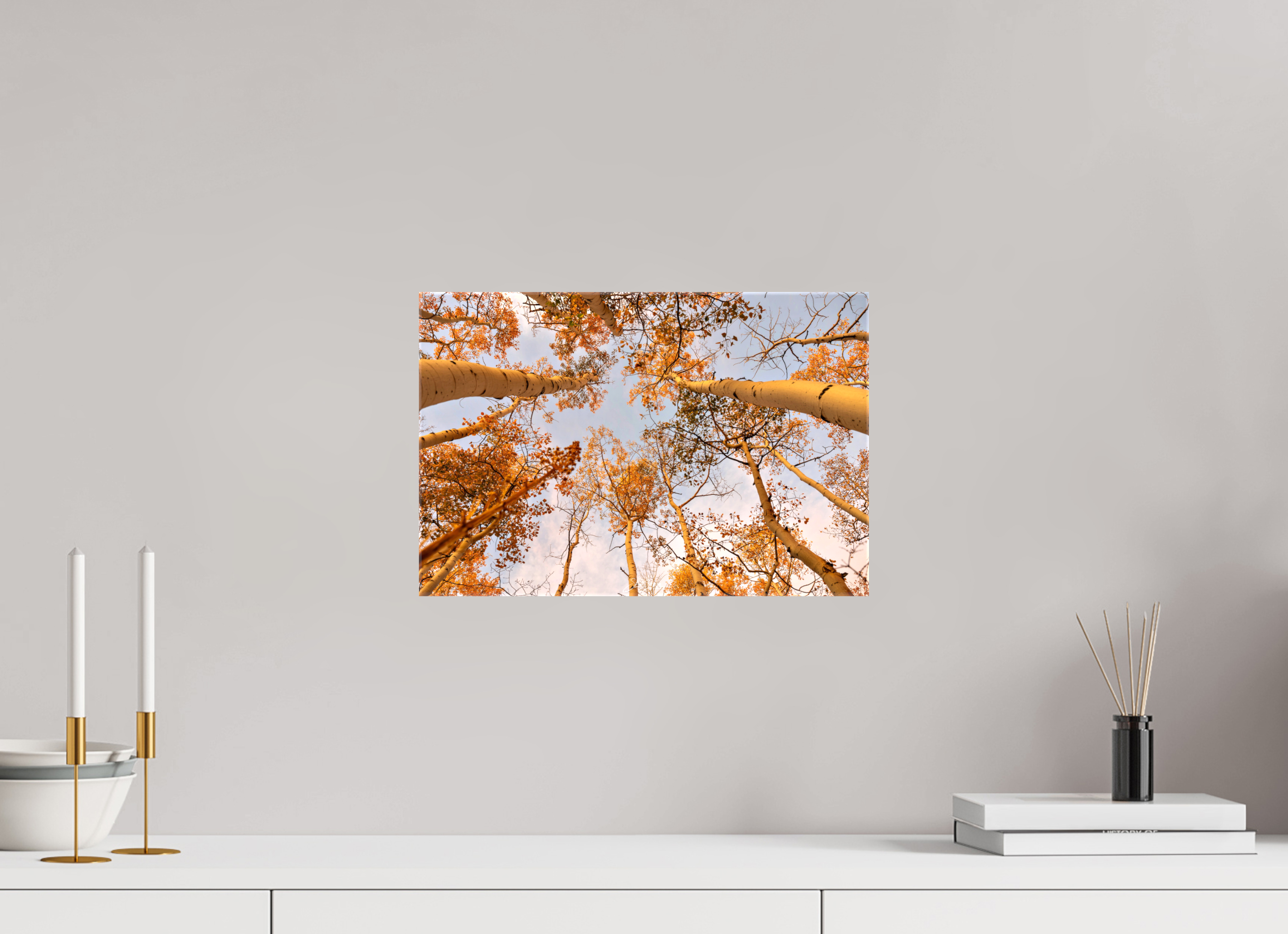 15 x 10″, Canvas aspen