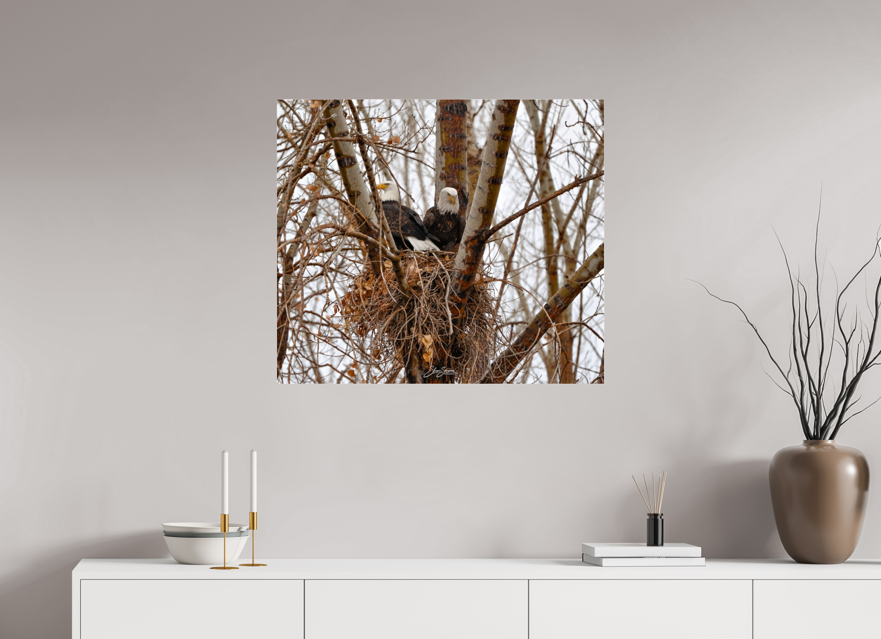 32.2 x 28″, paper Eagles in the nest