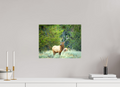15.2 x 12″, Canvas Elk
