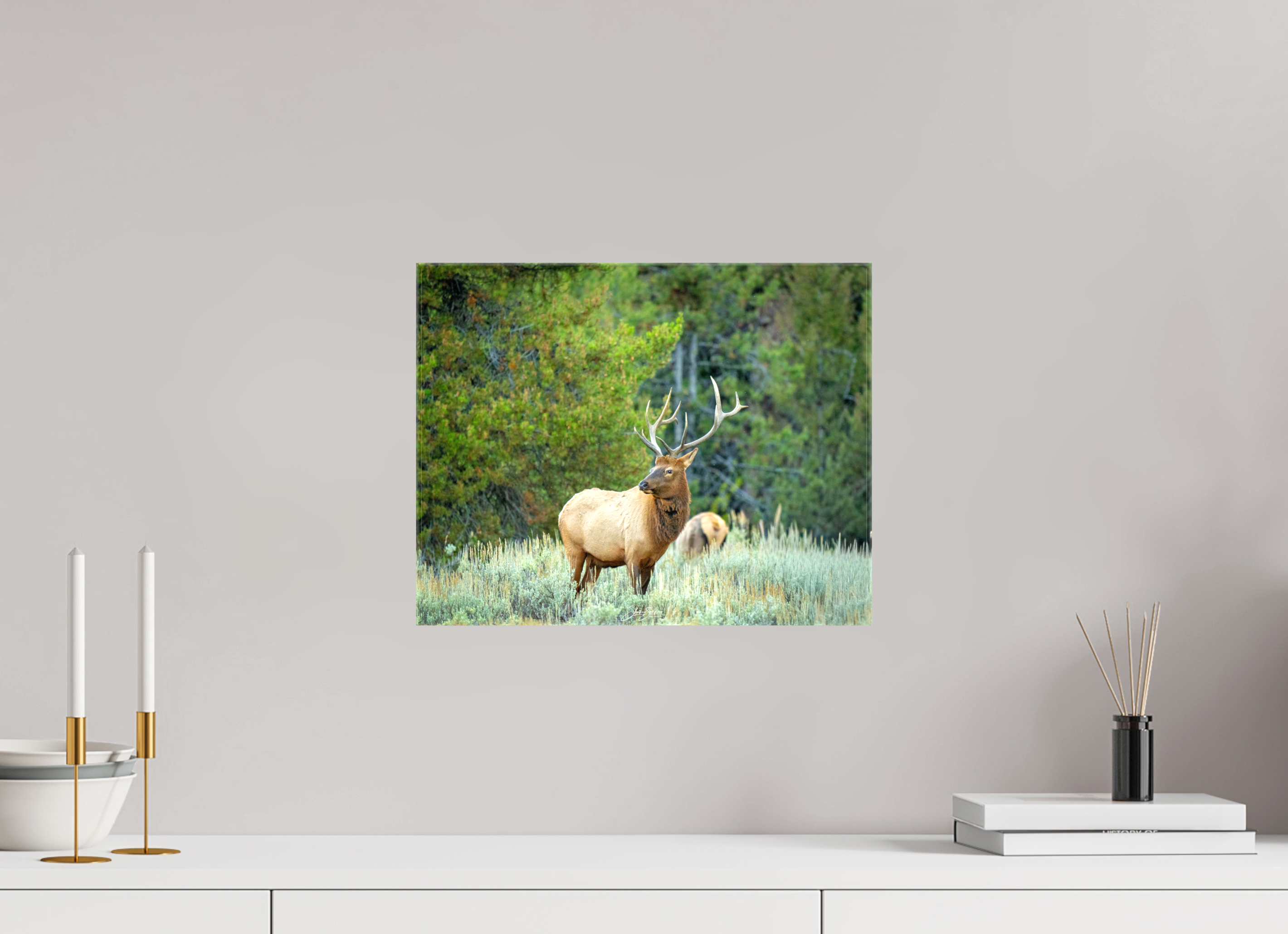 15.2 x 12″, Canvas Elk