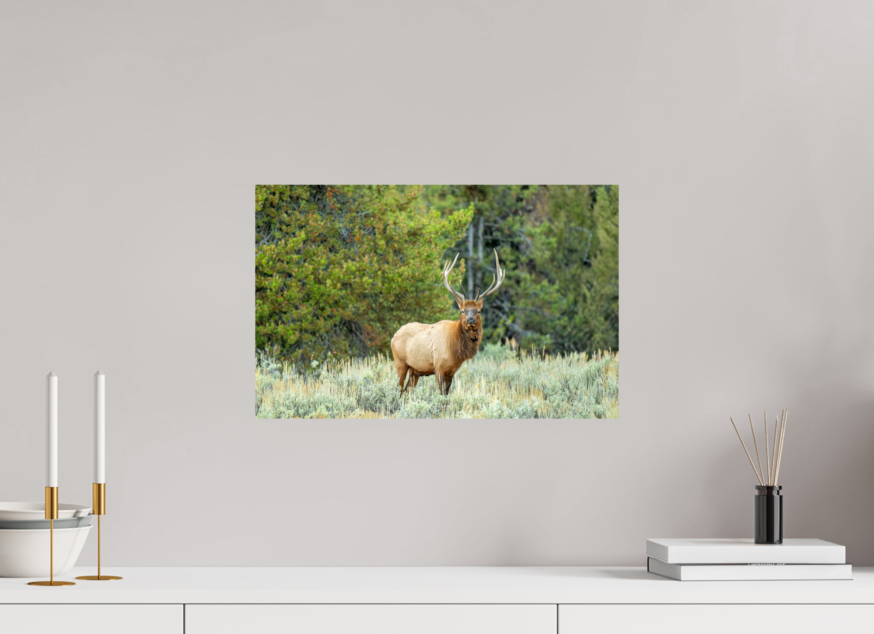 18.7 x 12″, Photo Print On Fuji Crystal DP II Elk