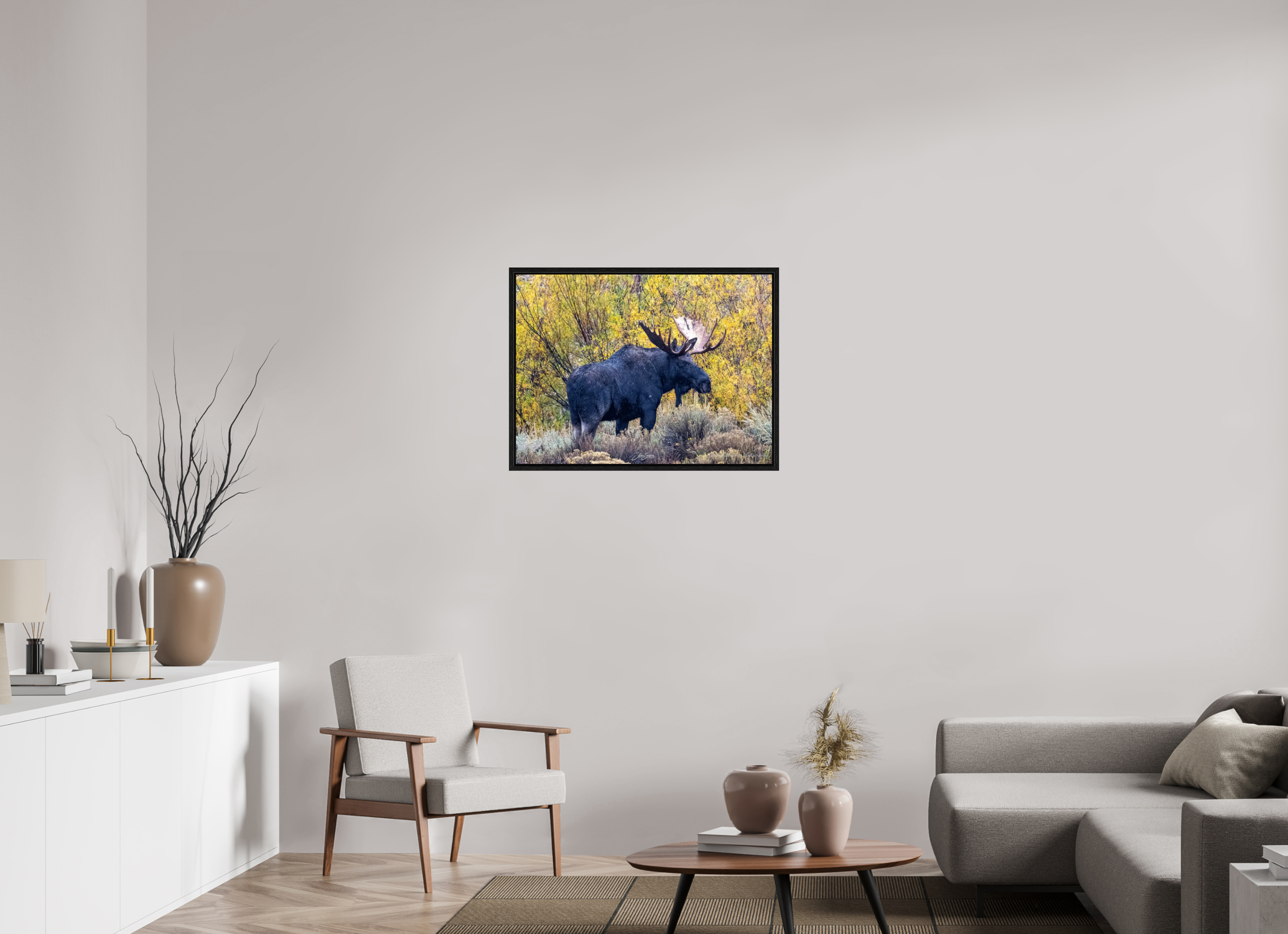 32.5 x 24″, Floater Frame Moose