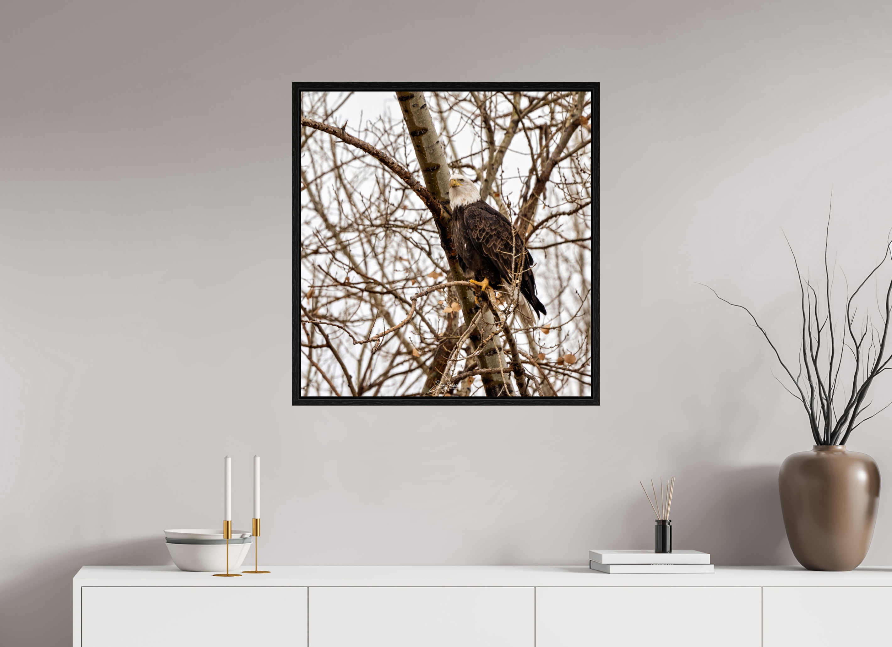 28 x 29.4″, Floater Frame Eagle