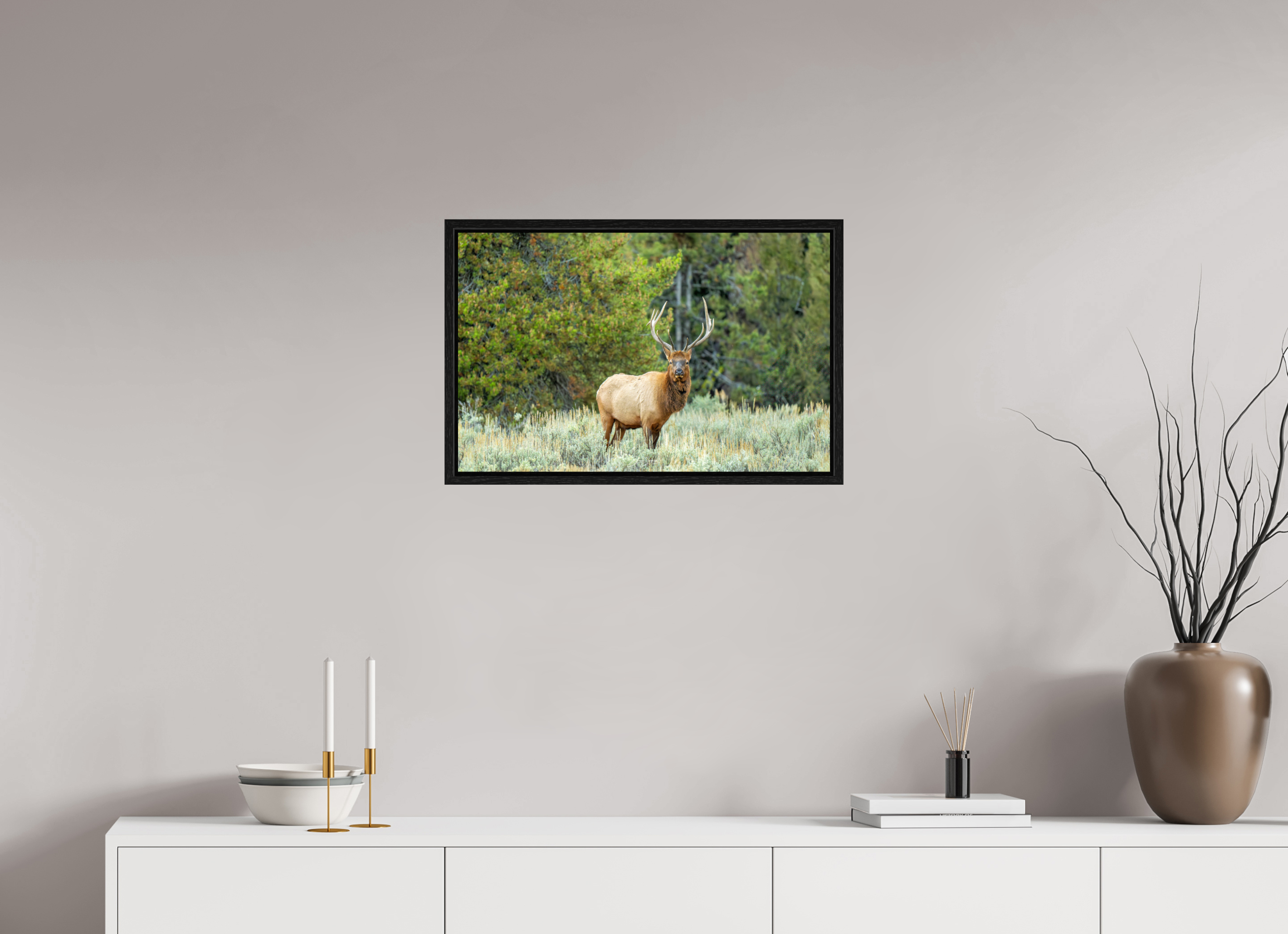 24.9 x 16″, Floater Frame Elk