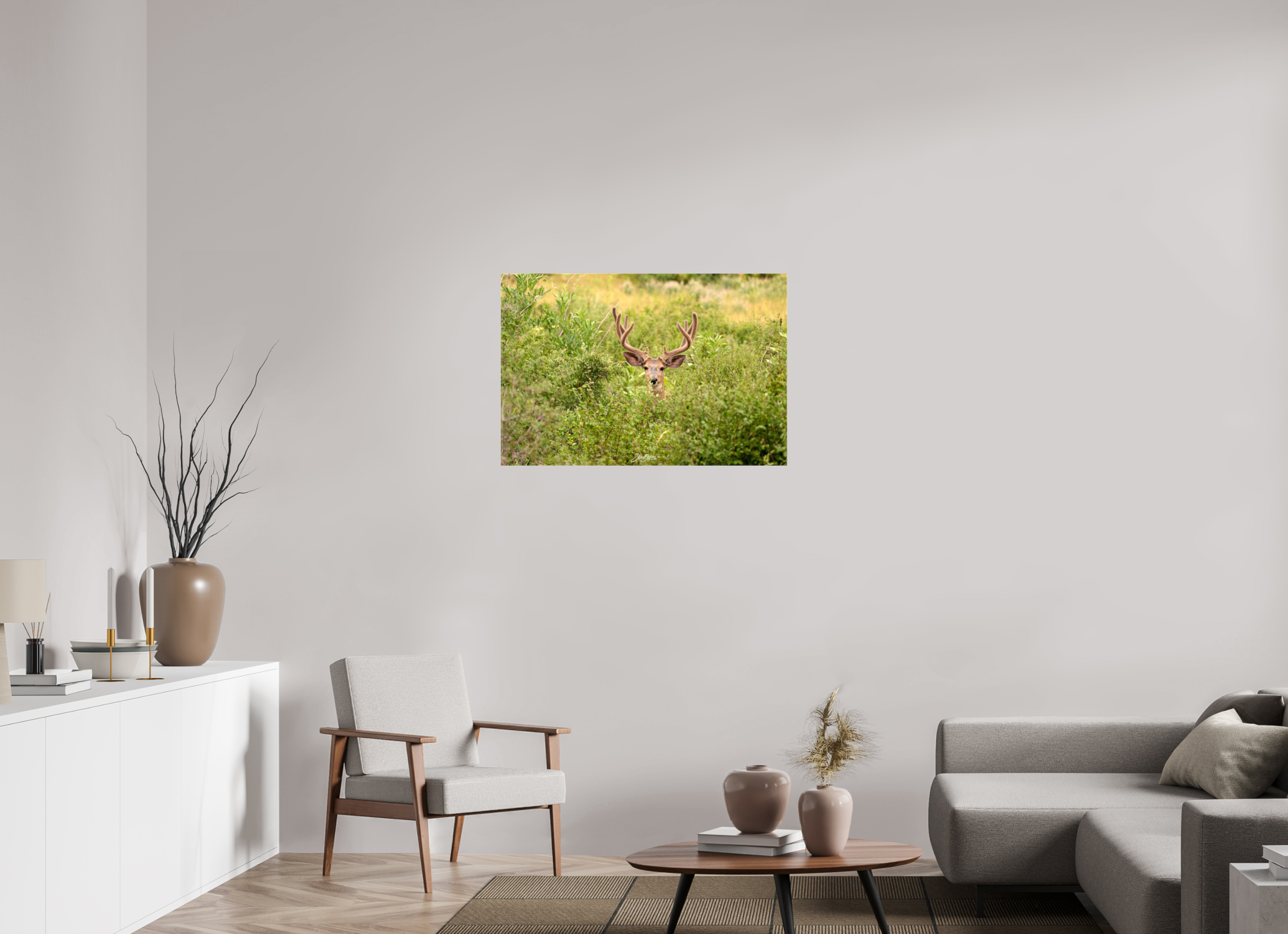 36 x 24″, Canvas Deer