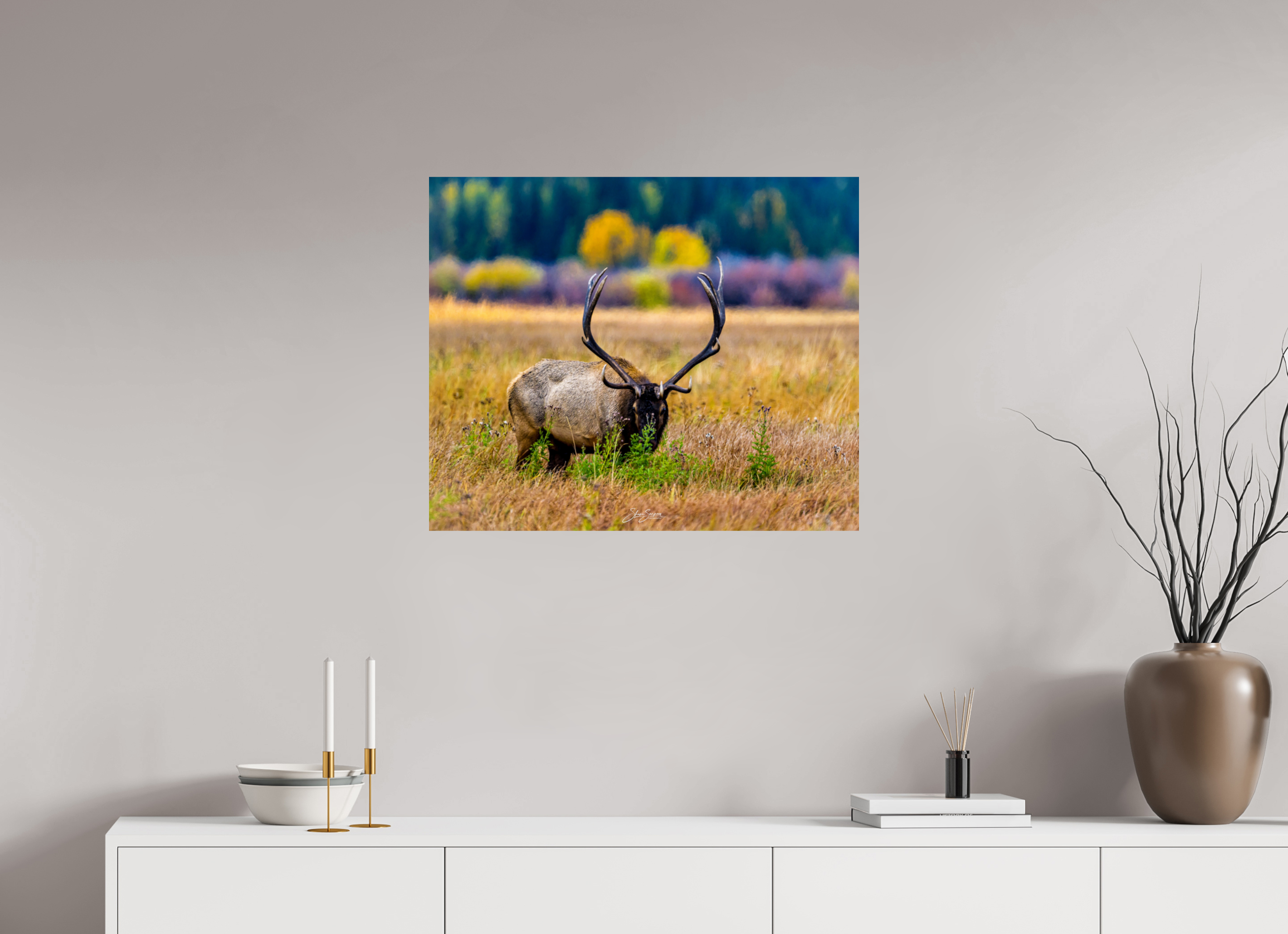 29.2 x 24″, Photo Print On Fuji Crystal DP II Elk