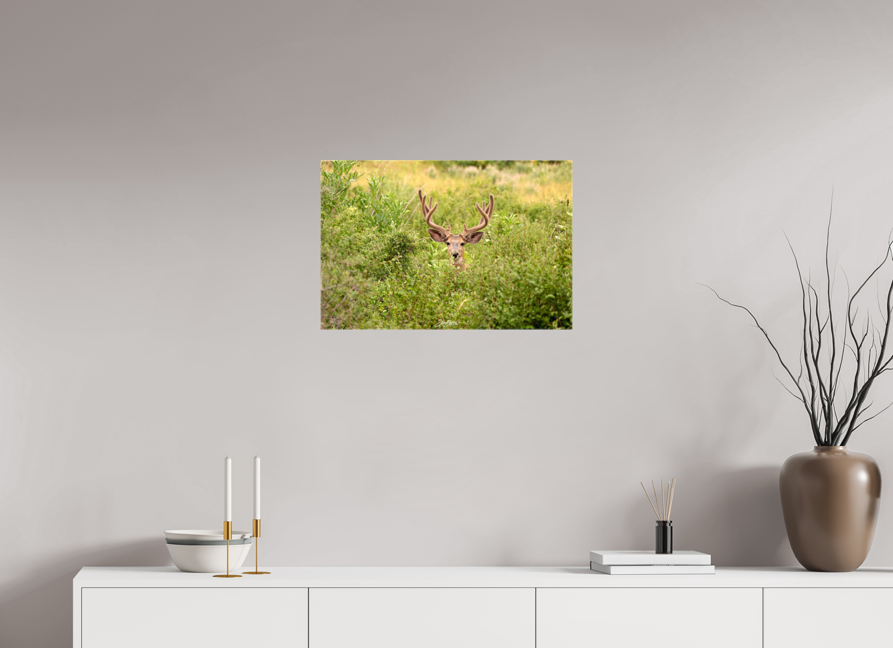 24 x 16″, Canvas Deer
