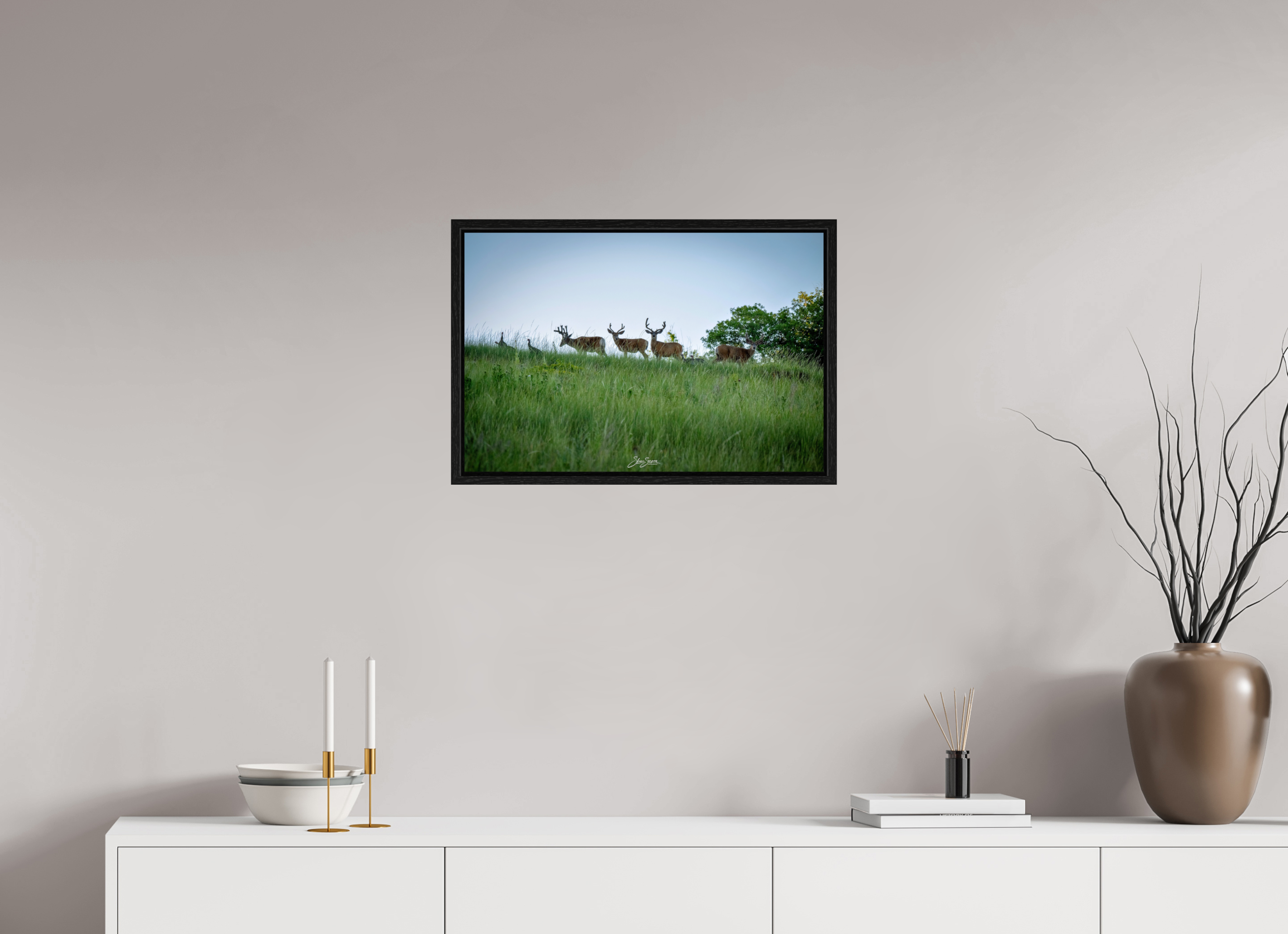 24 x 16″, Floater Frame Deer