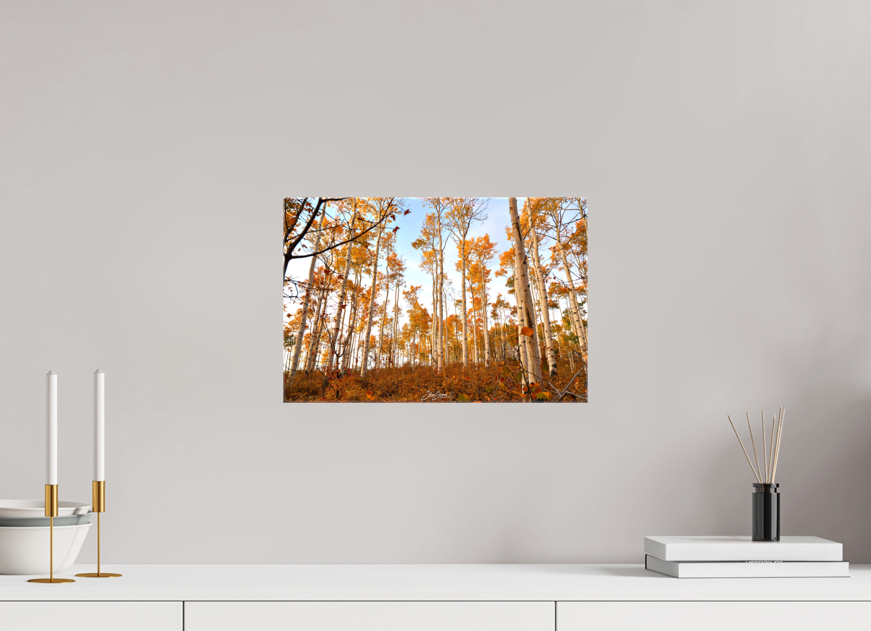 15 x 10″, Canvas aspen