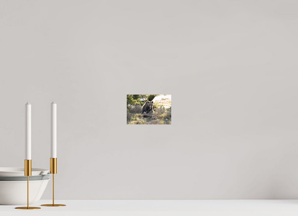 6 x 4″, Photo Print On Fuji Crystal DP II 1063