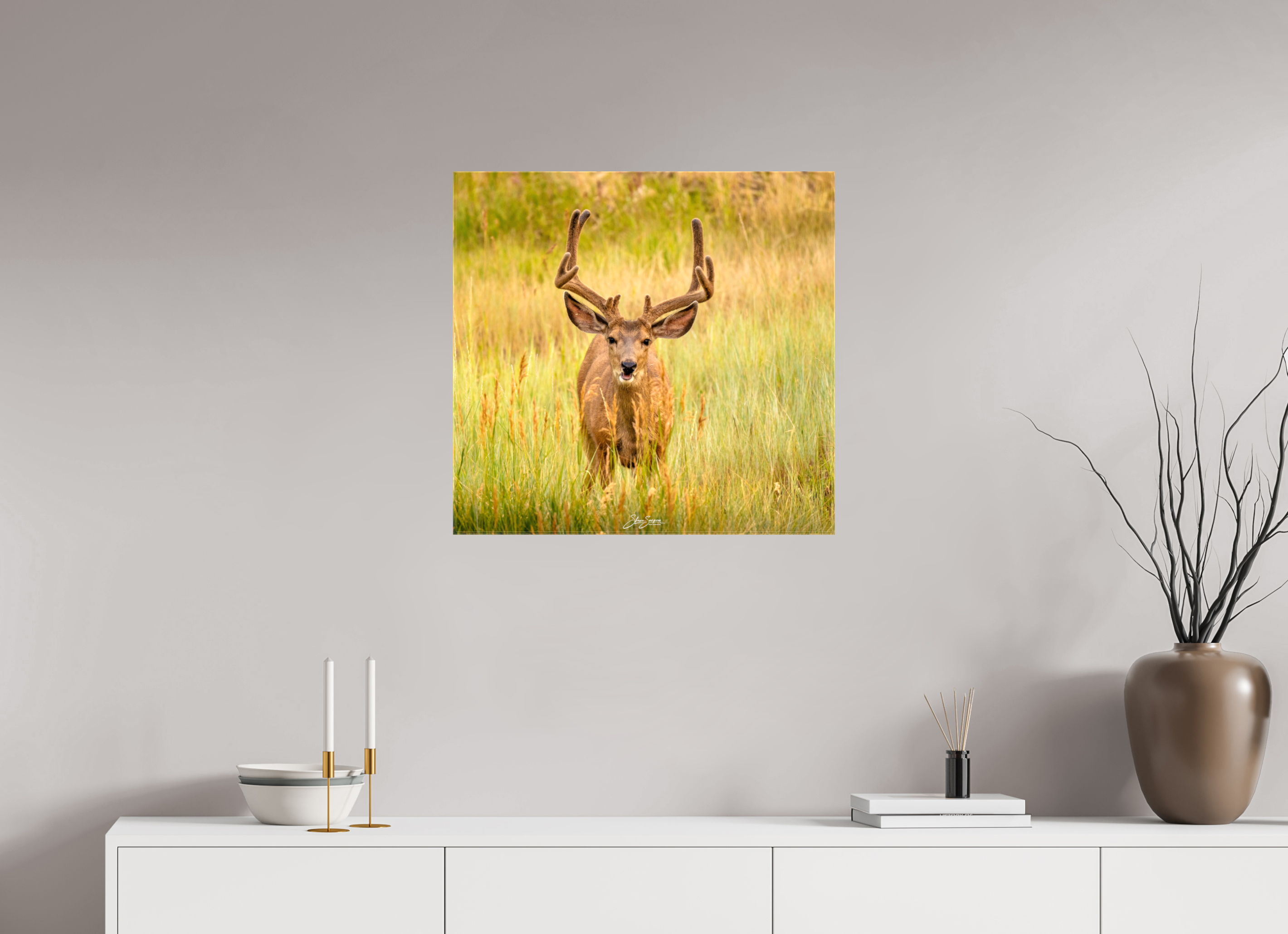 25.3 x 24″, Canvas Deer